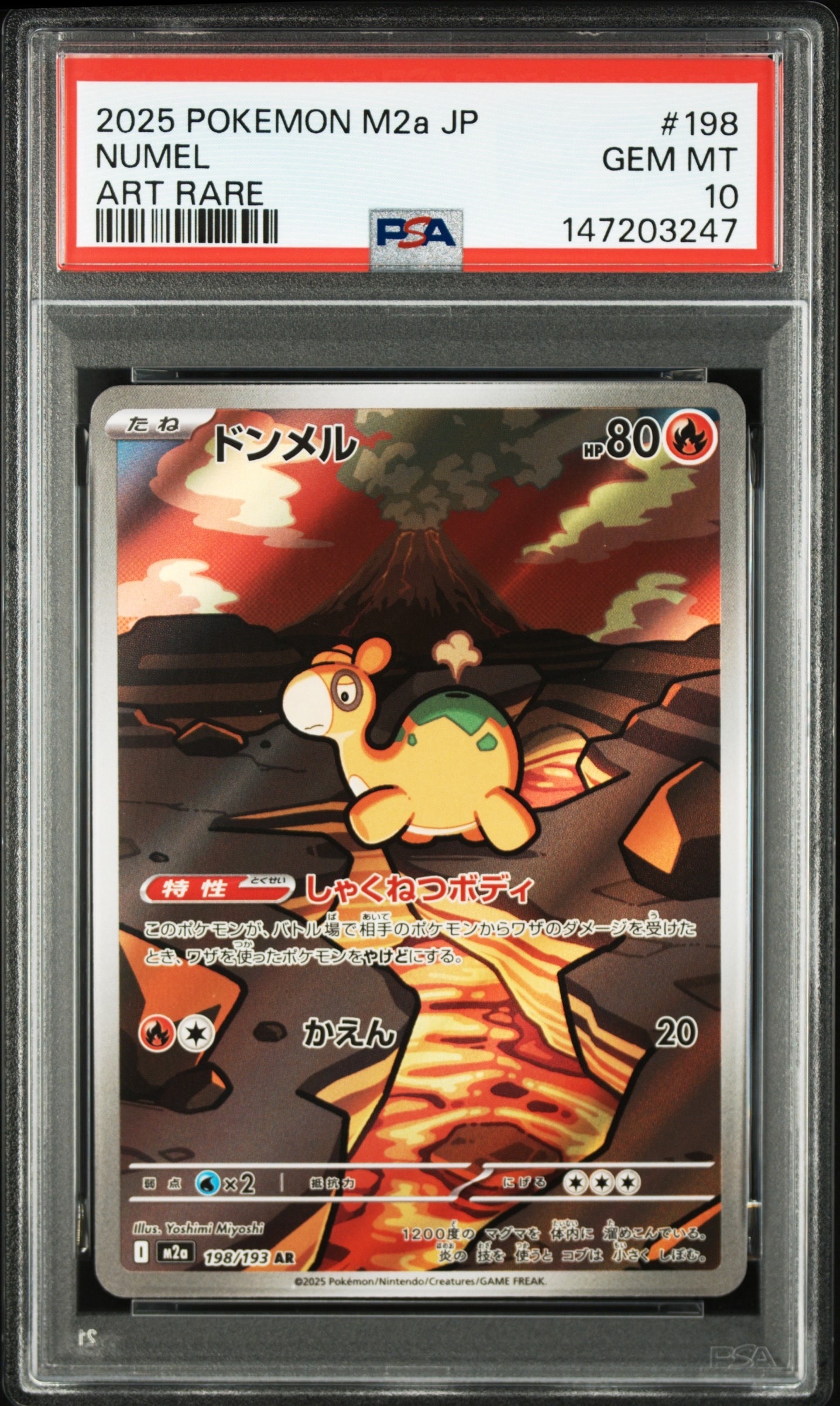 PSA10】ドンメル AR [M2a 198/193](ハイクラスパック「MEGAドリームex