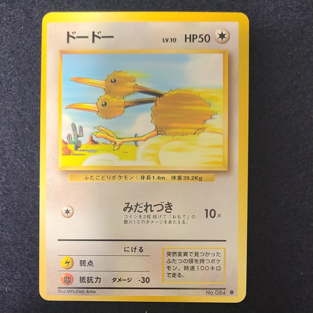 ドードー ● : 旧裏 [PMCG1-2](拡張パック「ポケットモンスター カードゲーム」再販)