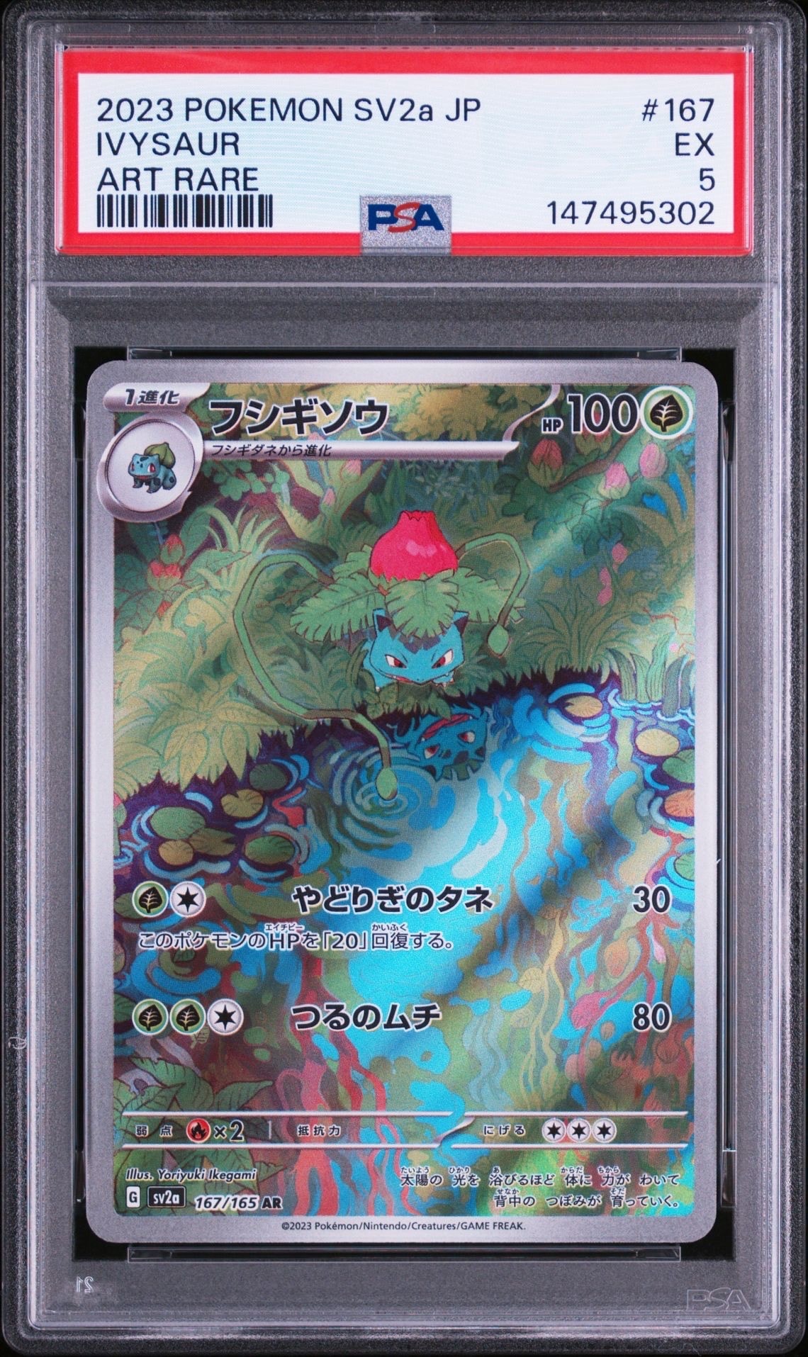ひかるホウオウ: プロモ[SM-P 083](プロモーションカード「SM-P」)の