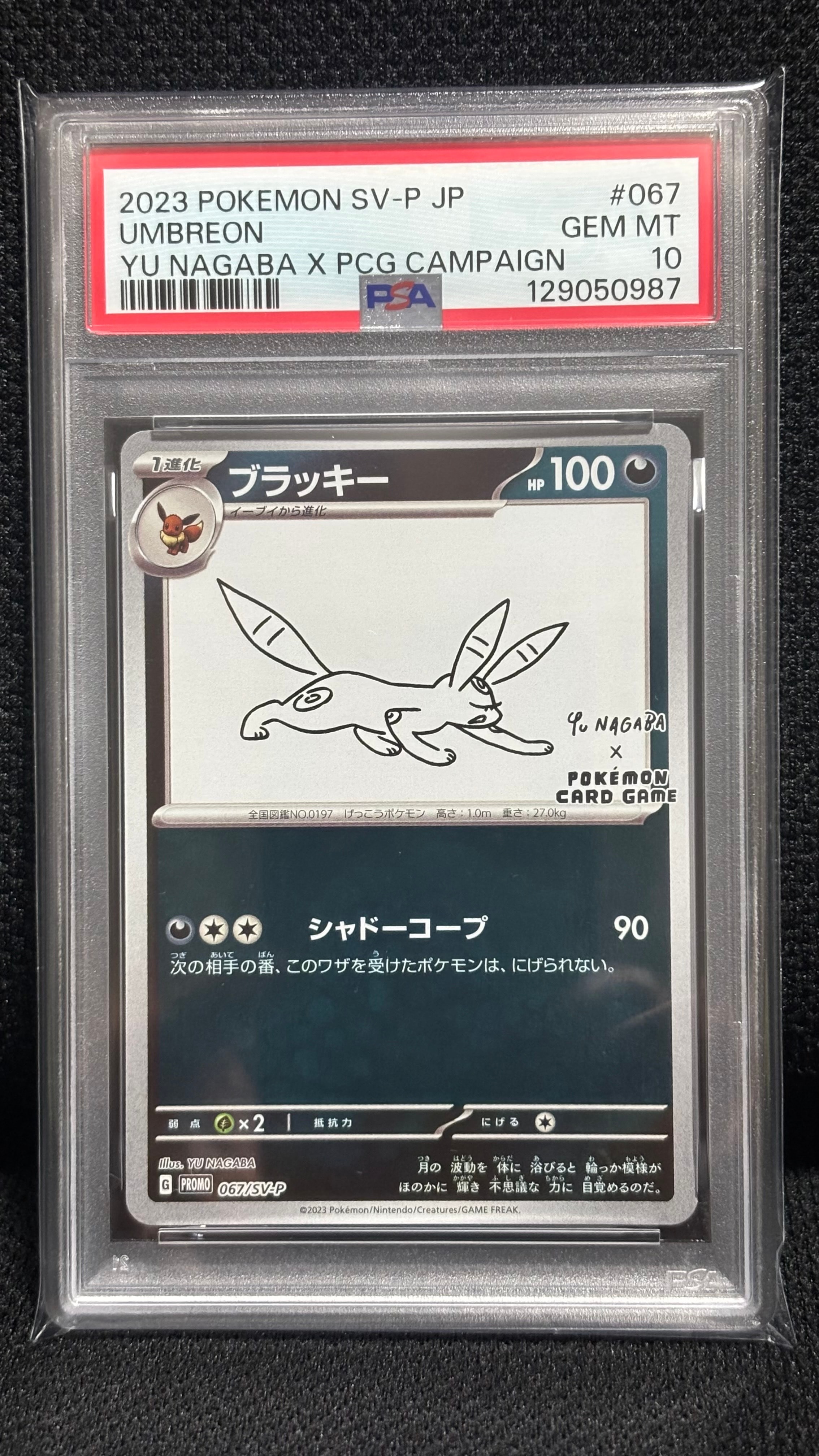 か*で様 PSA10 ブラッキー: プロモ (ナガバブラッキー) [SV-P 0 PSA10】ブラッキー: プロモ (ナガバブラッキー) [SV-P 067](「YU