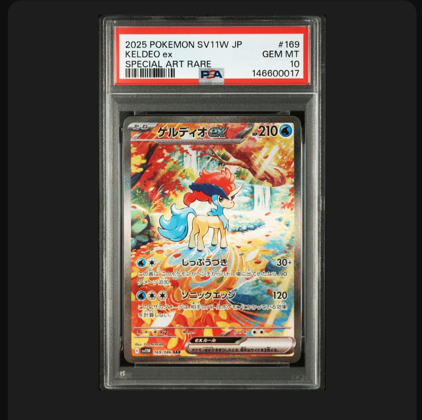 ケルディオex SAR [SV11W 169/086](拡張パック「ホワイトフレア」)