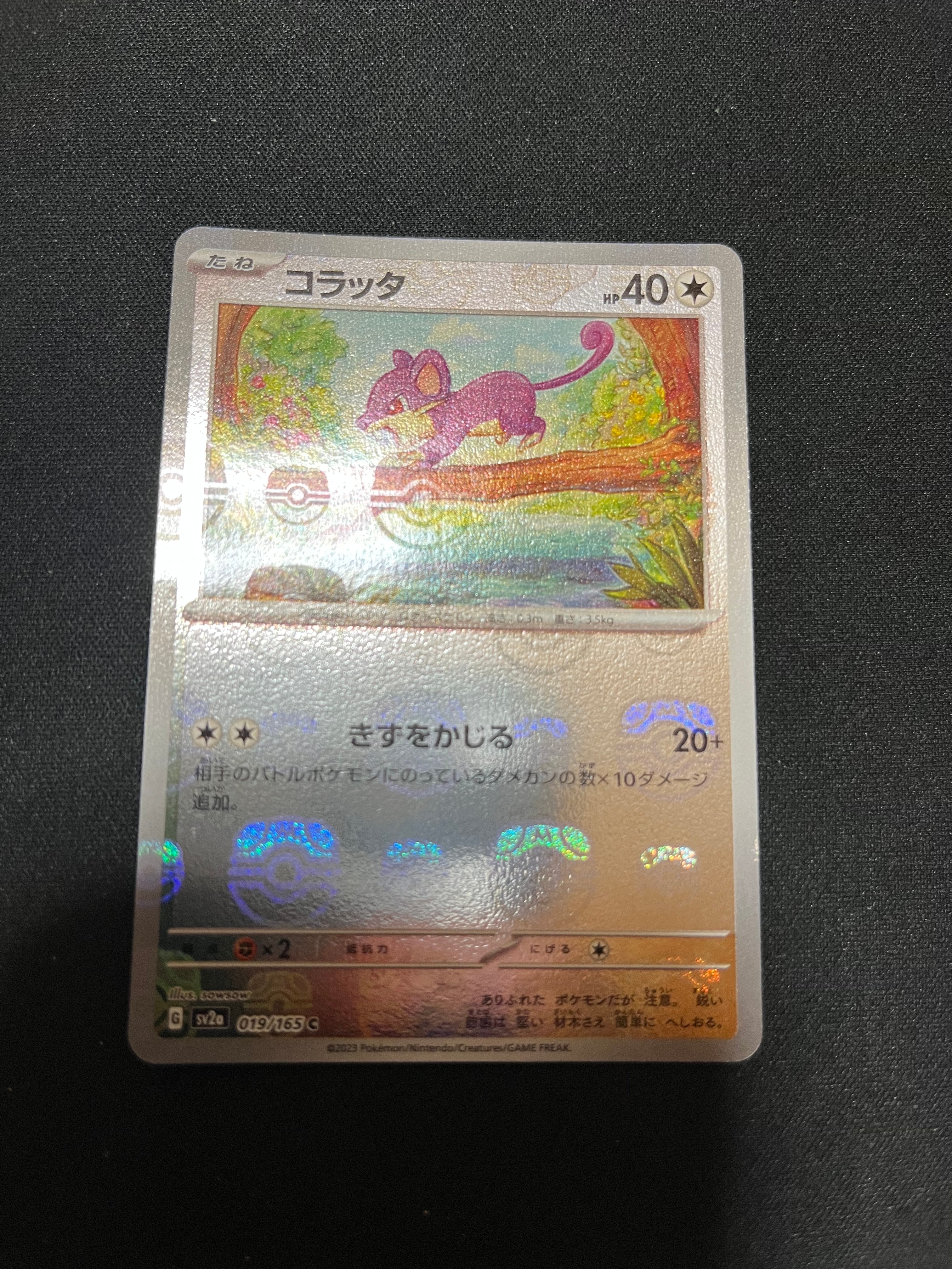 コラッタ C: マスターボールミラー[SV2a 019/165](強化拡張パック「ポケモンカード151」)