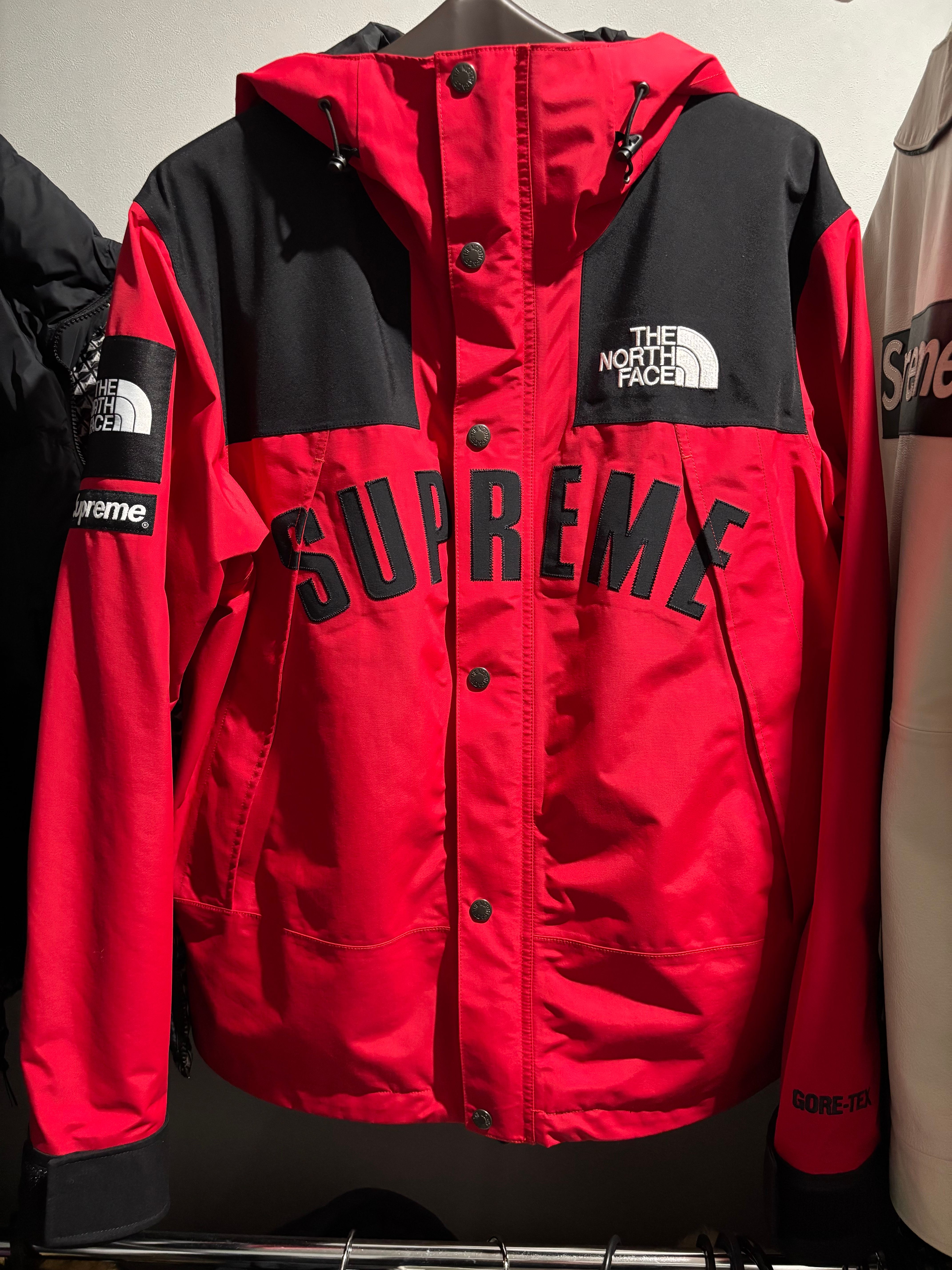 Supreme x The North Face Arc Logo Mountain Parka "Red"