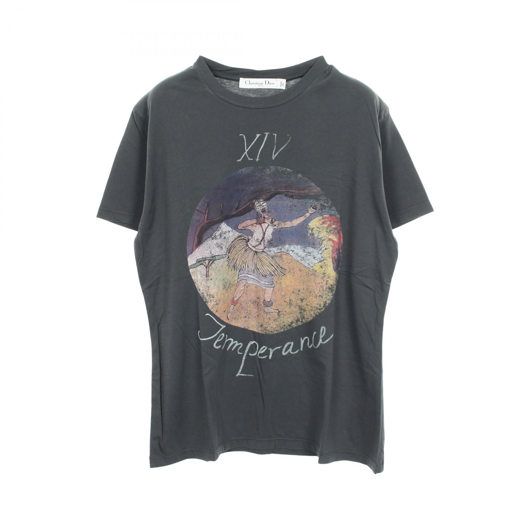ディオール Dior プリント クルーネック 半袖Tシャツ 衣料品 トップス コットン レディース グレー系 8CP3503WF432 【中古】