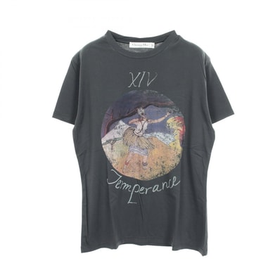 ディオール Dior プリント クルーネック 半袖Tシャツ 衣料品 トップス コットン レディース グレー系 8CP3503WF432 【中古】