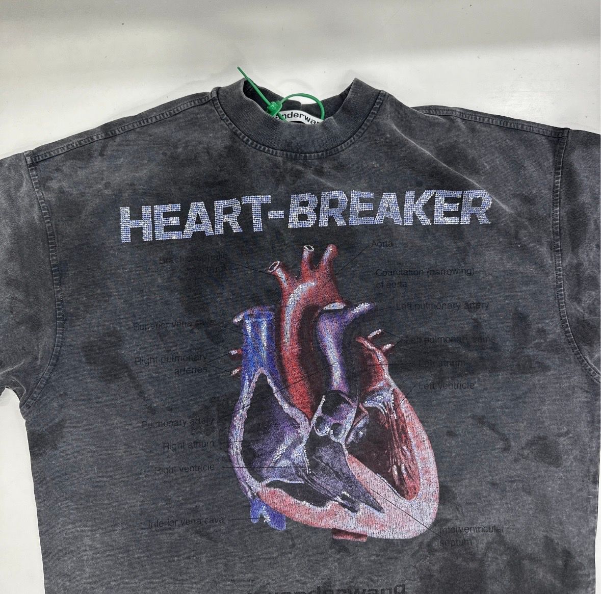 alexander wang  FW24  柄付きTシャツ