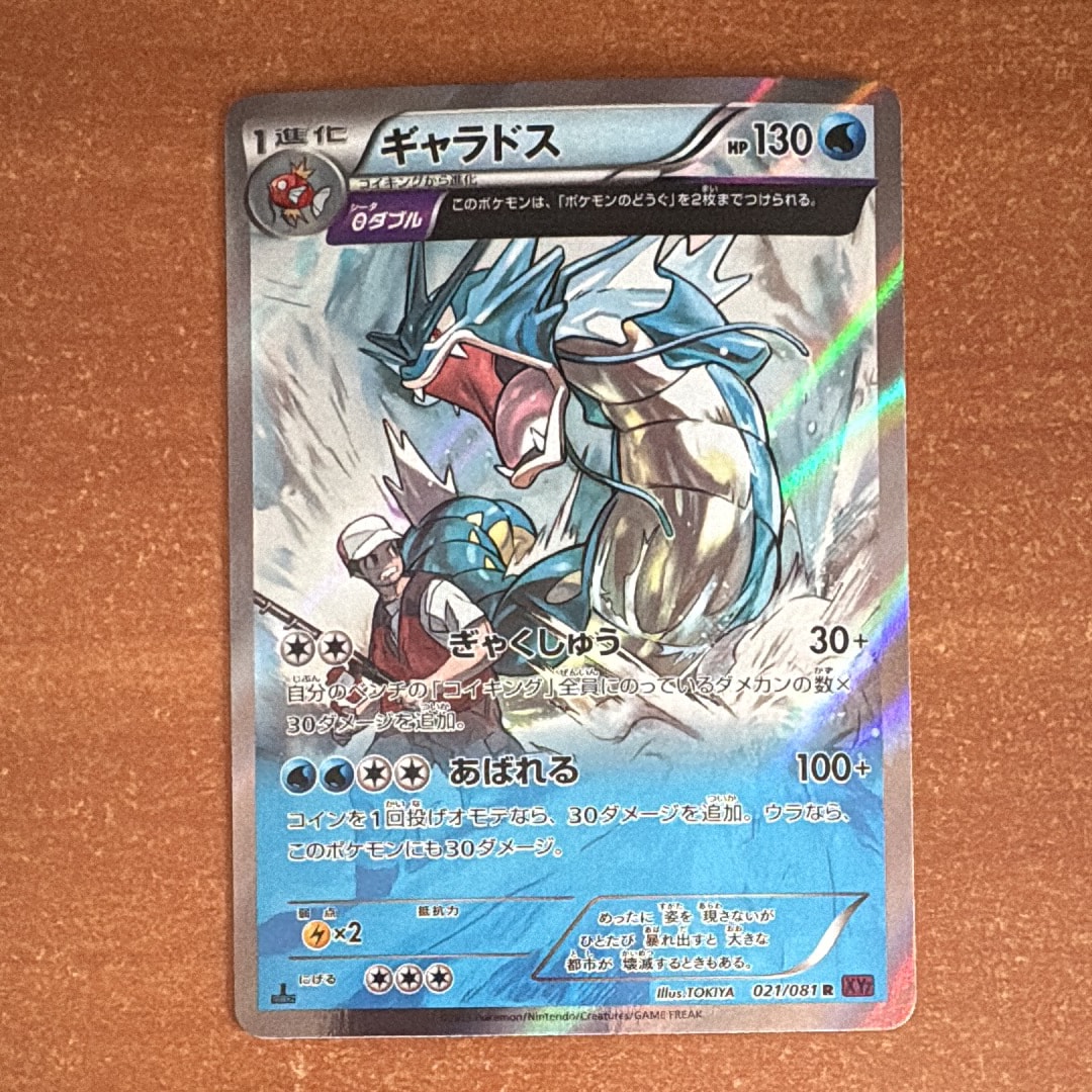 ギャラドス R :1ED [XY7 021/081](拡張パック「バンデットリング」)