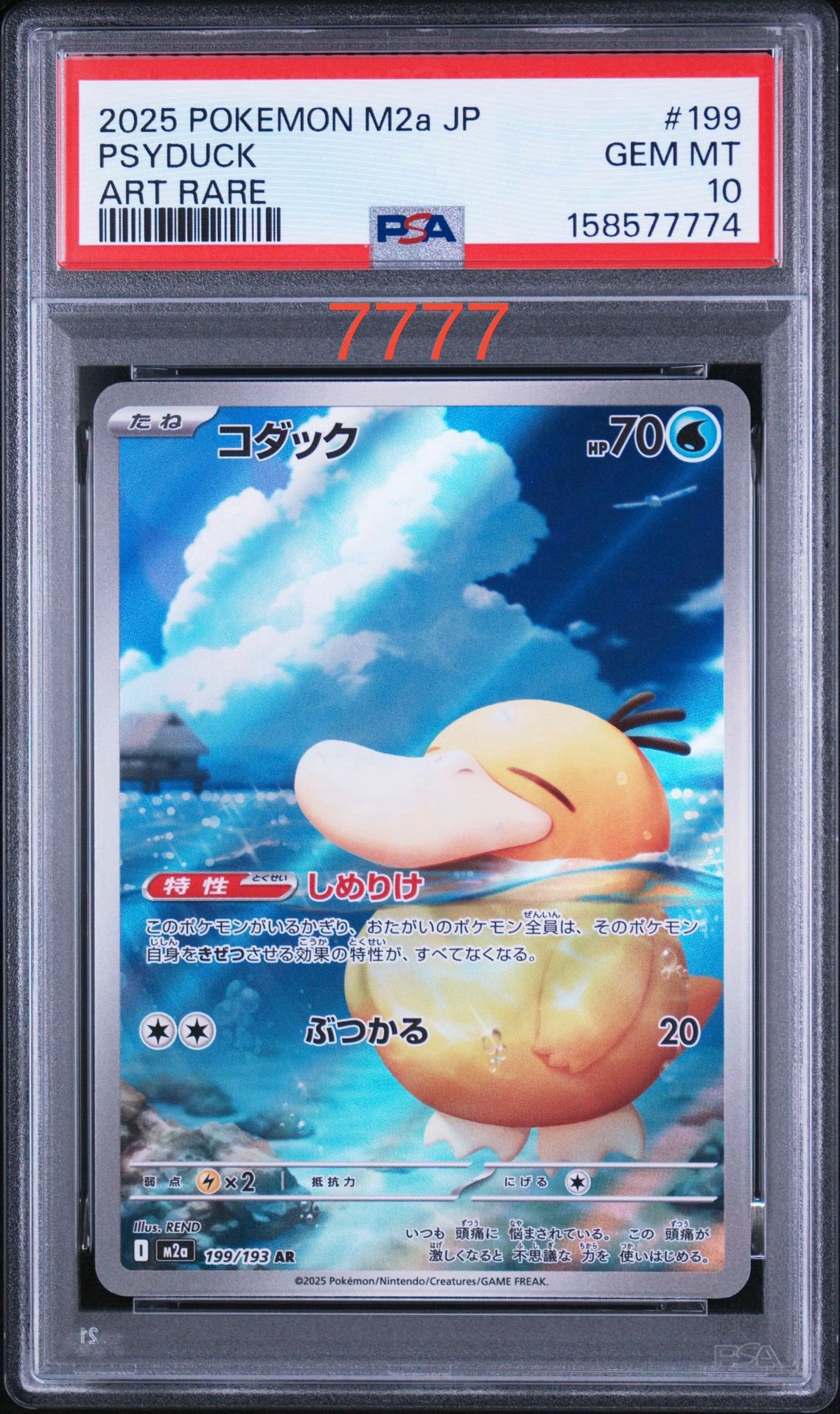 コダック AR [M2a 199/193](ハイクラスパック「MEGAドリームex」)通販