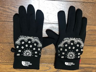 Supreme The North Face Bandana Etip Glove "Black"