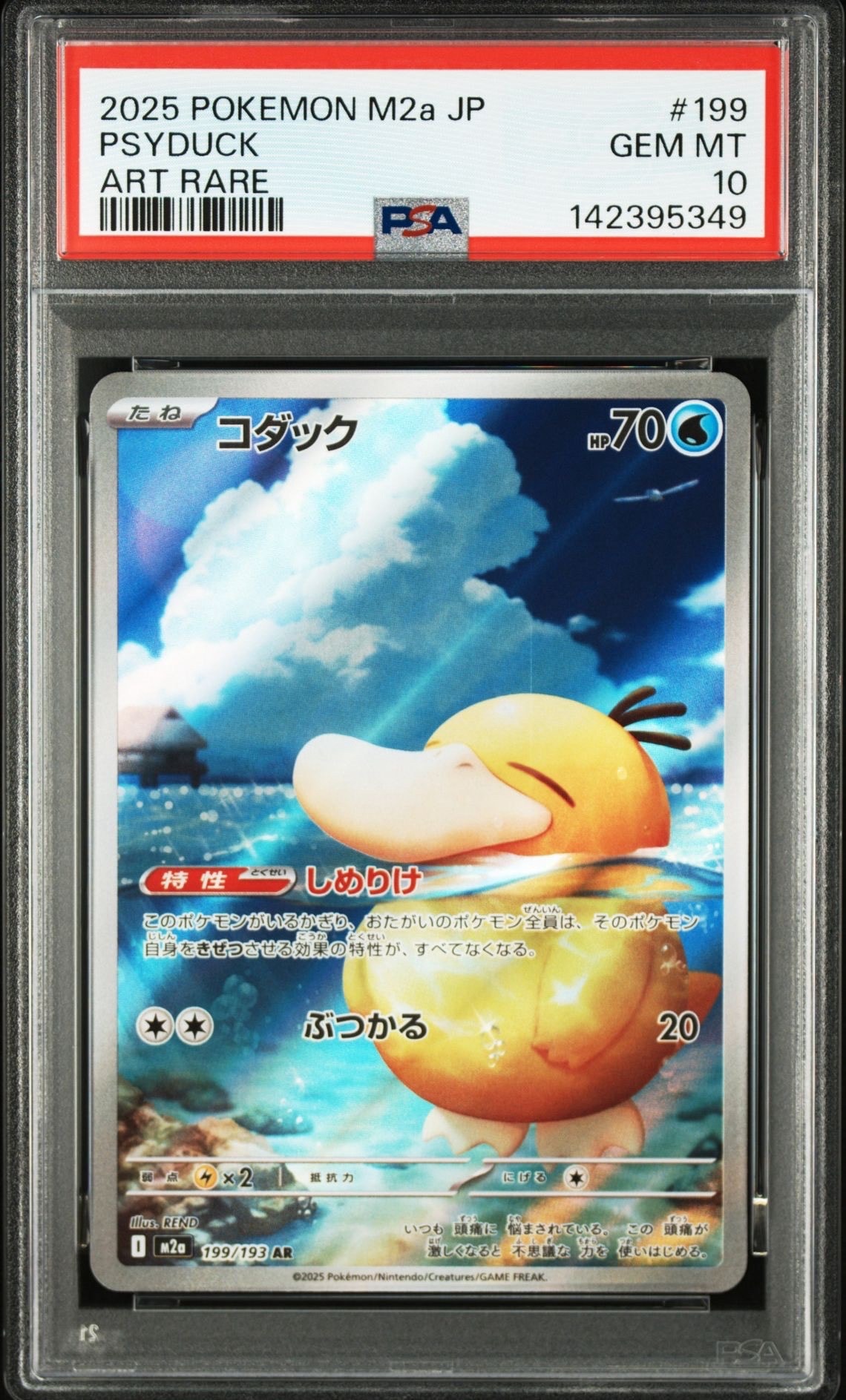 コダック AR [M2a 199/193](ハイクラスパック「MEGAドリームex」)