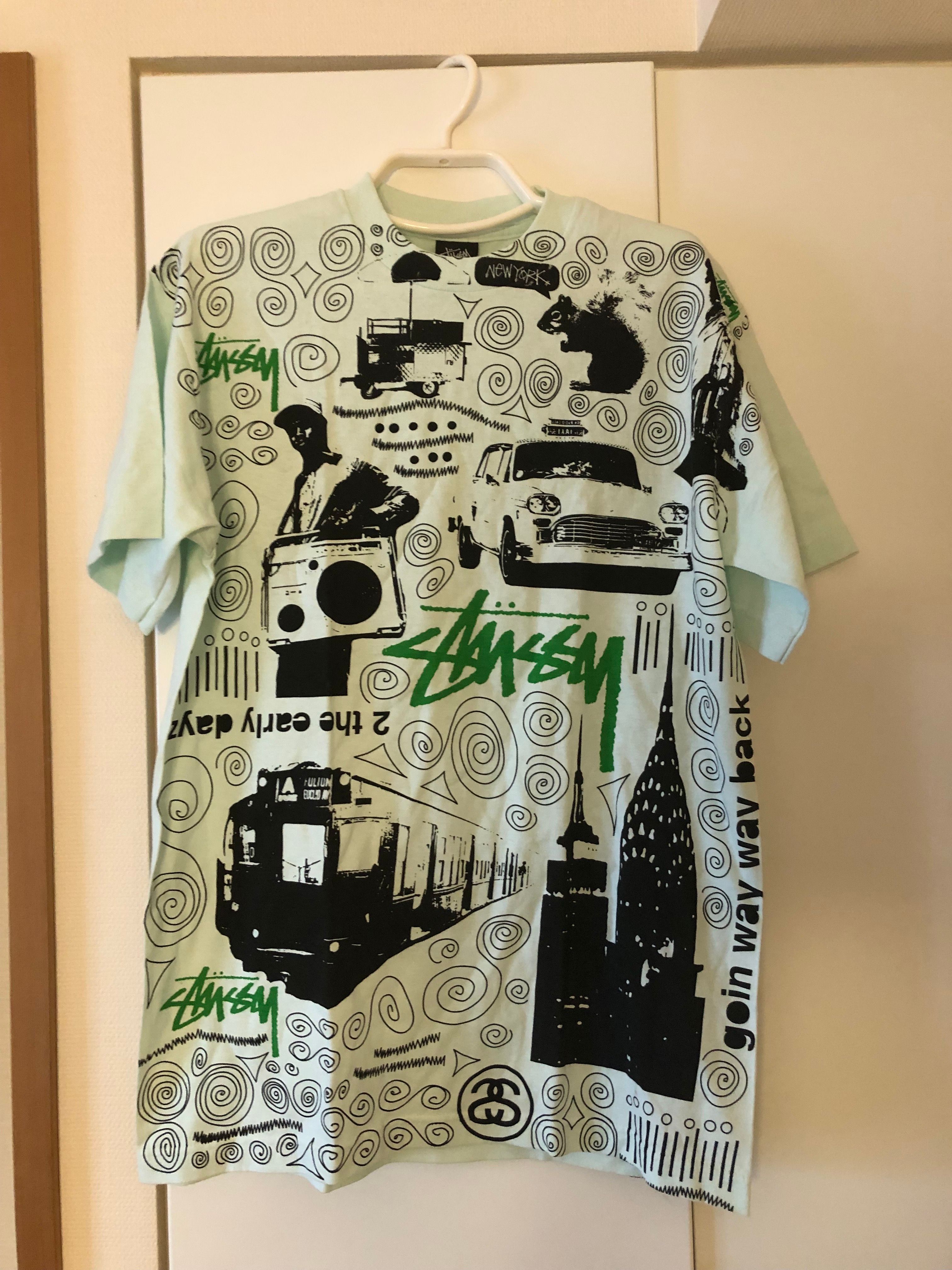 stussy THE EARLY DAYZ ミント　前面プリント