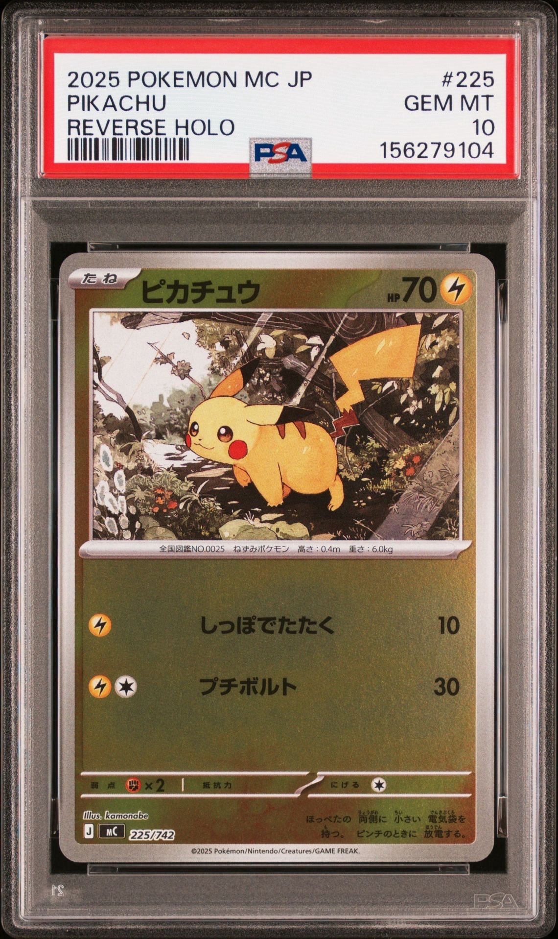 ポケモンカードゲーム カナザワのピカチュウ: プロモ (マークなし