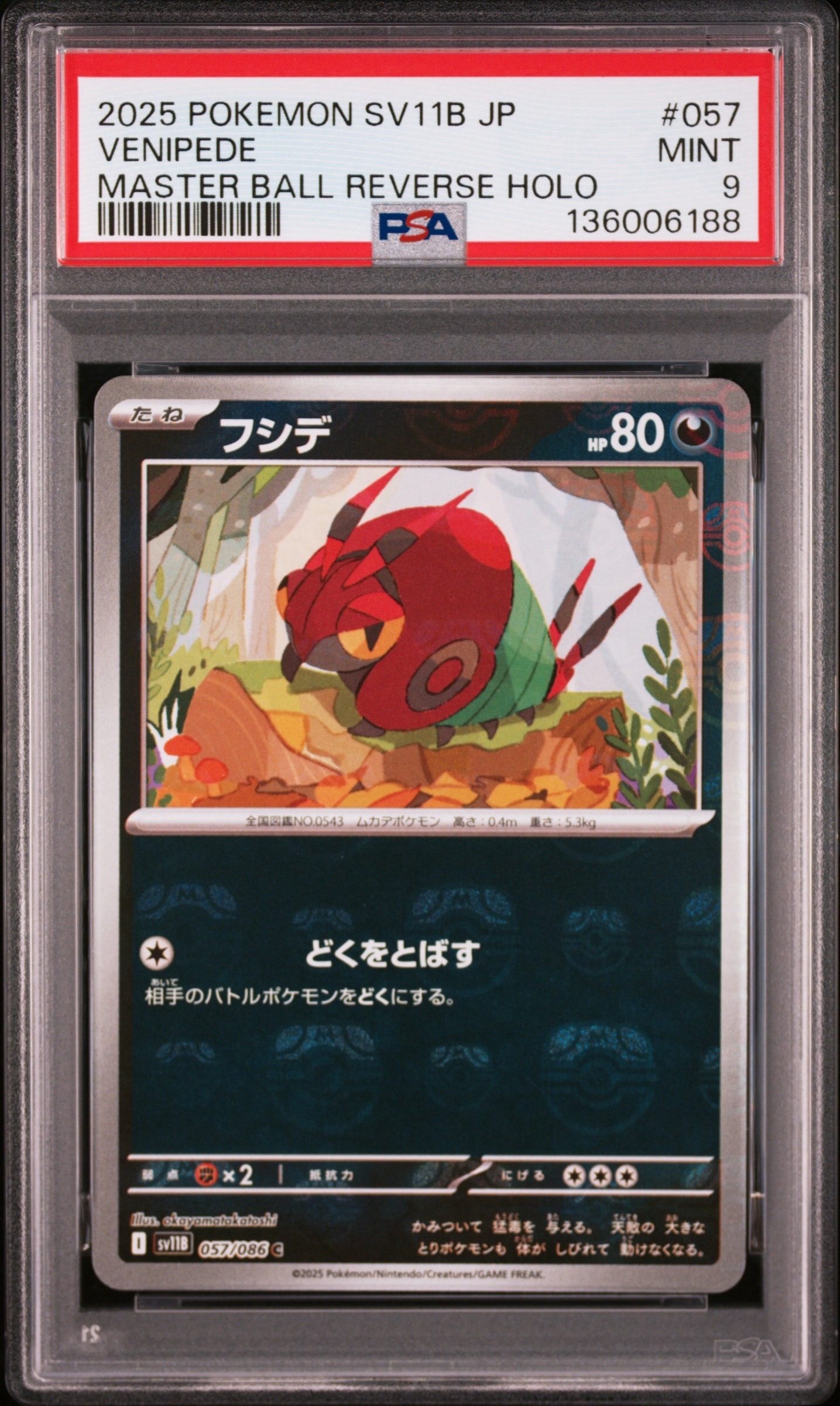 フシデ C :マスターボールミラー [SV11B 057/086](拡張パック「ブラックボルト」)