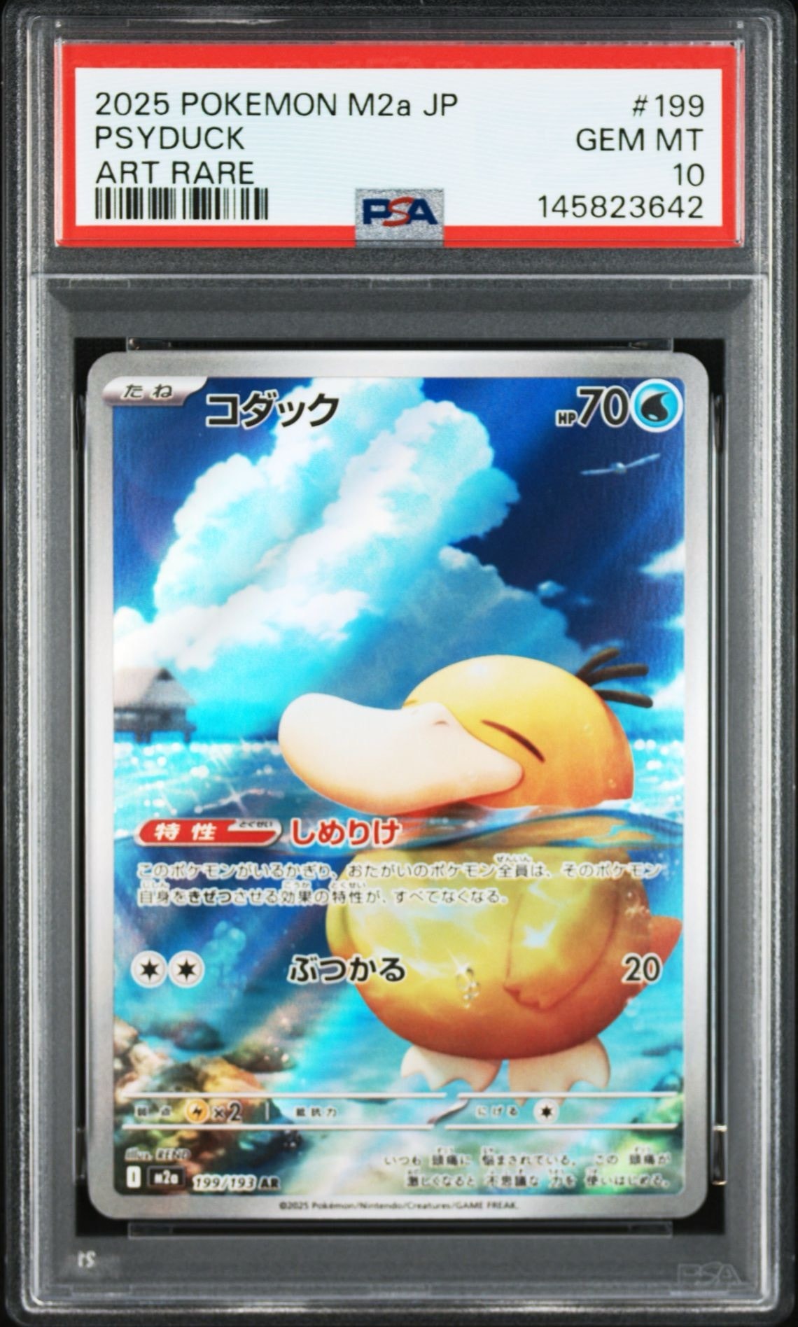 コダック AR [M2a 199/193](ハイクラスパック「MEGAドリームex」)の