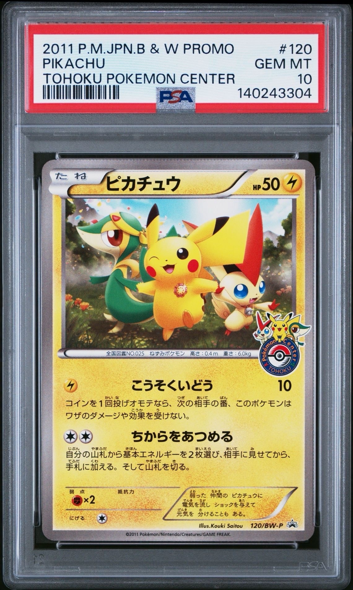 ピカチュウ P [BW-P 120/BW-P](プロモーションカード「ポケモンセンタートウホク オープン記念プレゼント」)