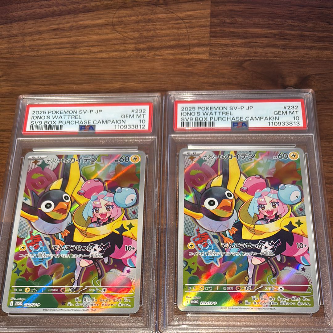 ナンジャモのカイデン P [SV-P 232](プロモーションカード「拡張パック バトルパートナーズ Box購入キャンペーン」)