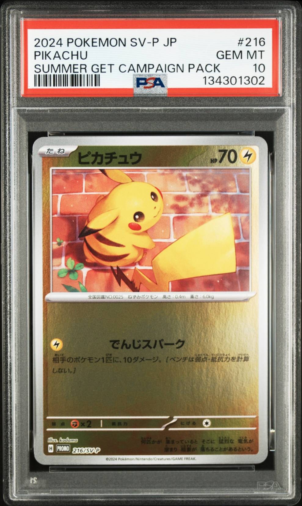 ピカチュウ P [SV-P 216](プロモカードパック「ポケカの夏がキタ!プロモカードGetキャンペーン!」)