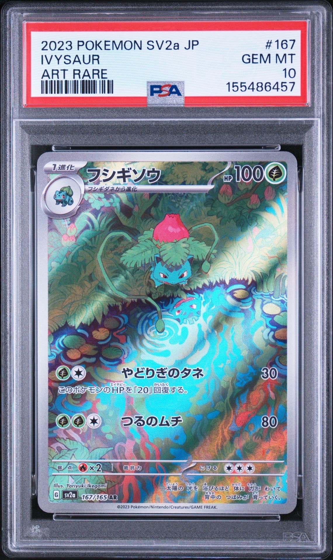 フシギダネ [CLF 001/032](ポケモンカードゲーム Classic)の新品/中古