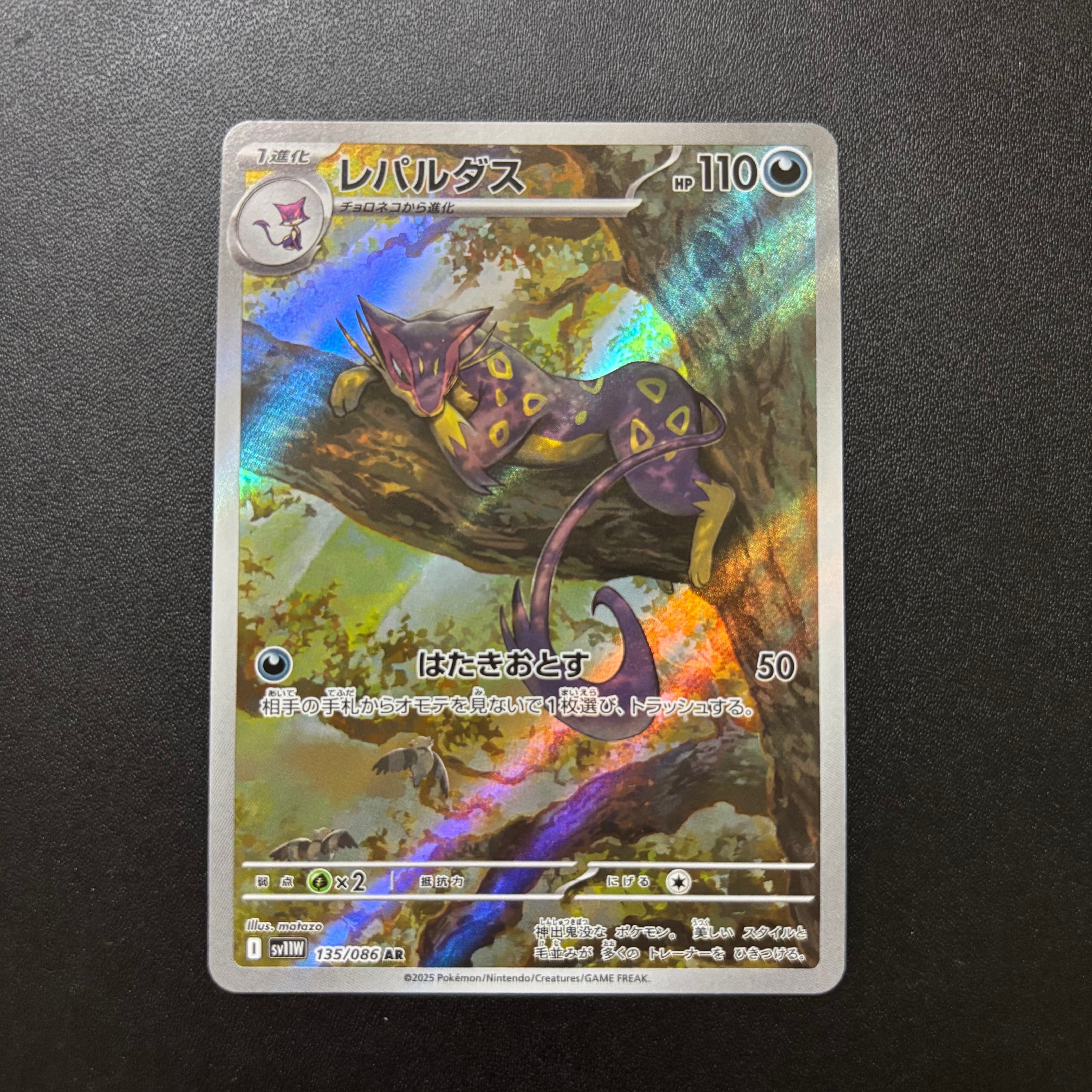 ダークライ PROMO PPPプロモーションカード 007/DP-PPP ダークライ: プロモ[DP-P 007/PPP](プロモーションカード「DP-P」)の