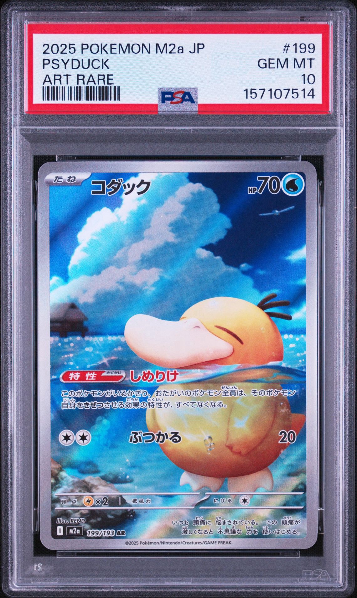 コダック AR [M2a 199/193](ハイクラスパック「MEGAドリームex」)通販