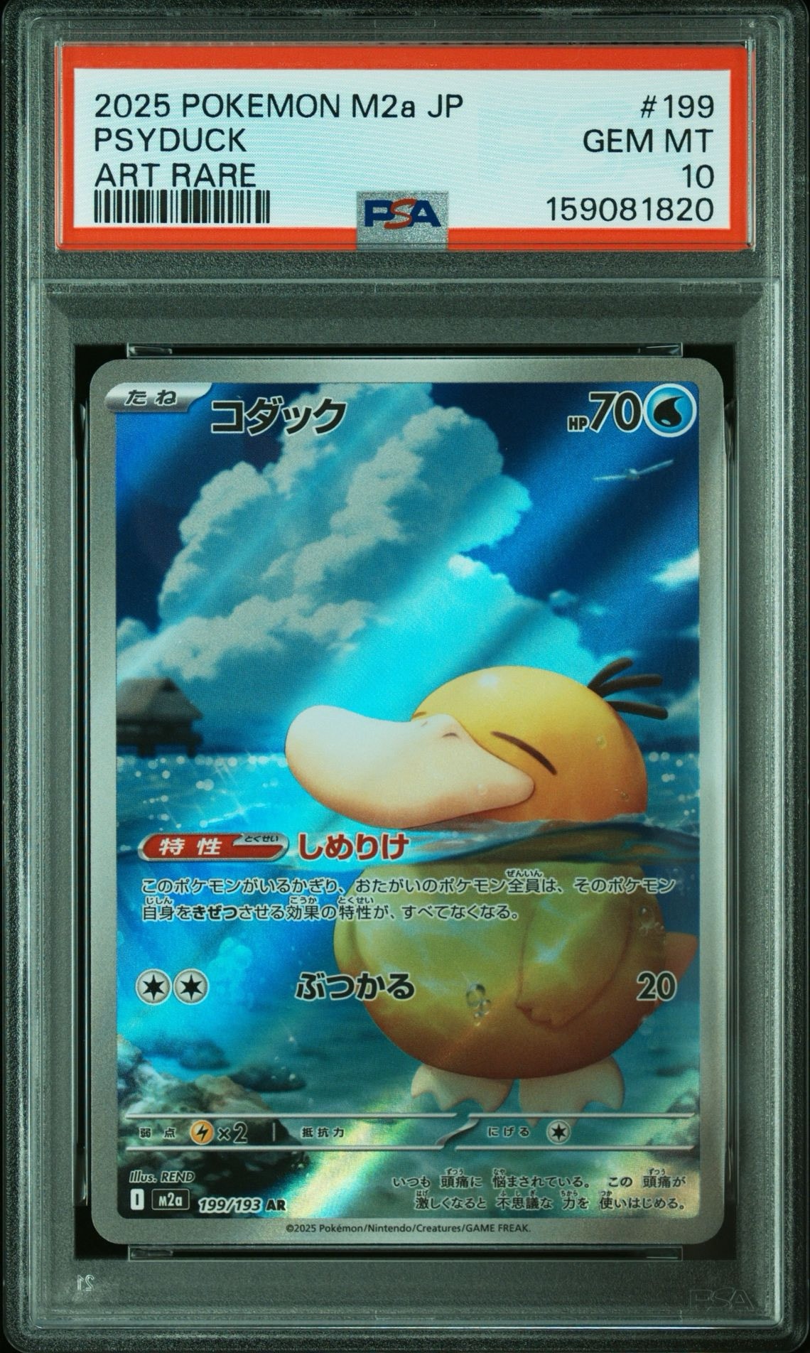 コダック AR [M2a 199/193](ハイクラスパック「MEGAドリームex」)