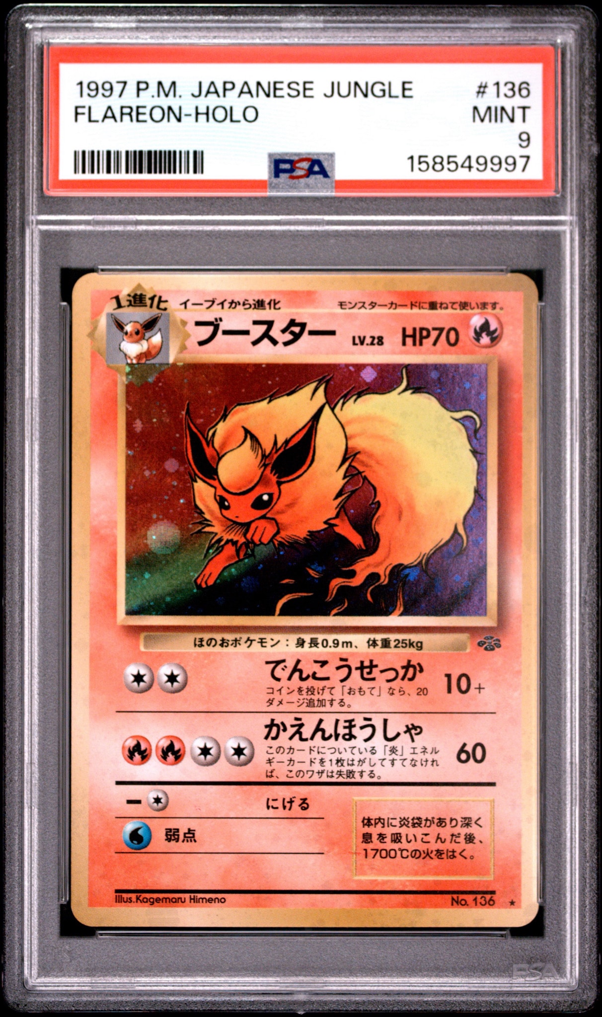 ブースター ☆ : 旧裏 [PMCG2 No.136](拡張パック「ポケモンジャングル