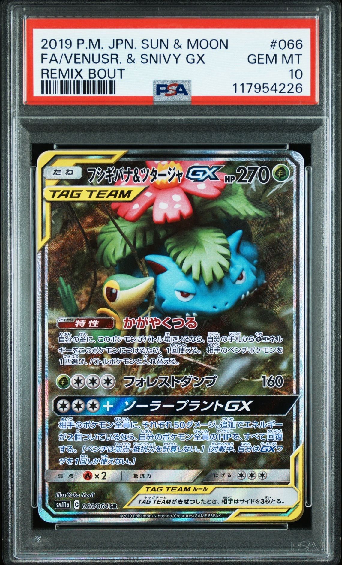 フシギバナ&ツタージャGX SR: SA[SM11a 066/064](強化拡張パック「リミックスバウト」)