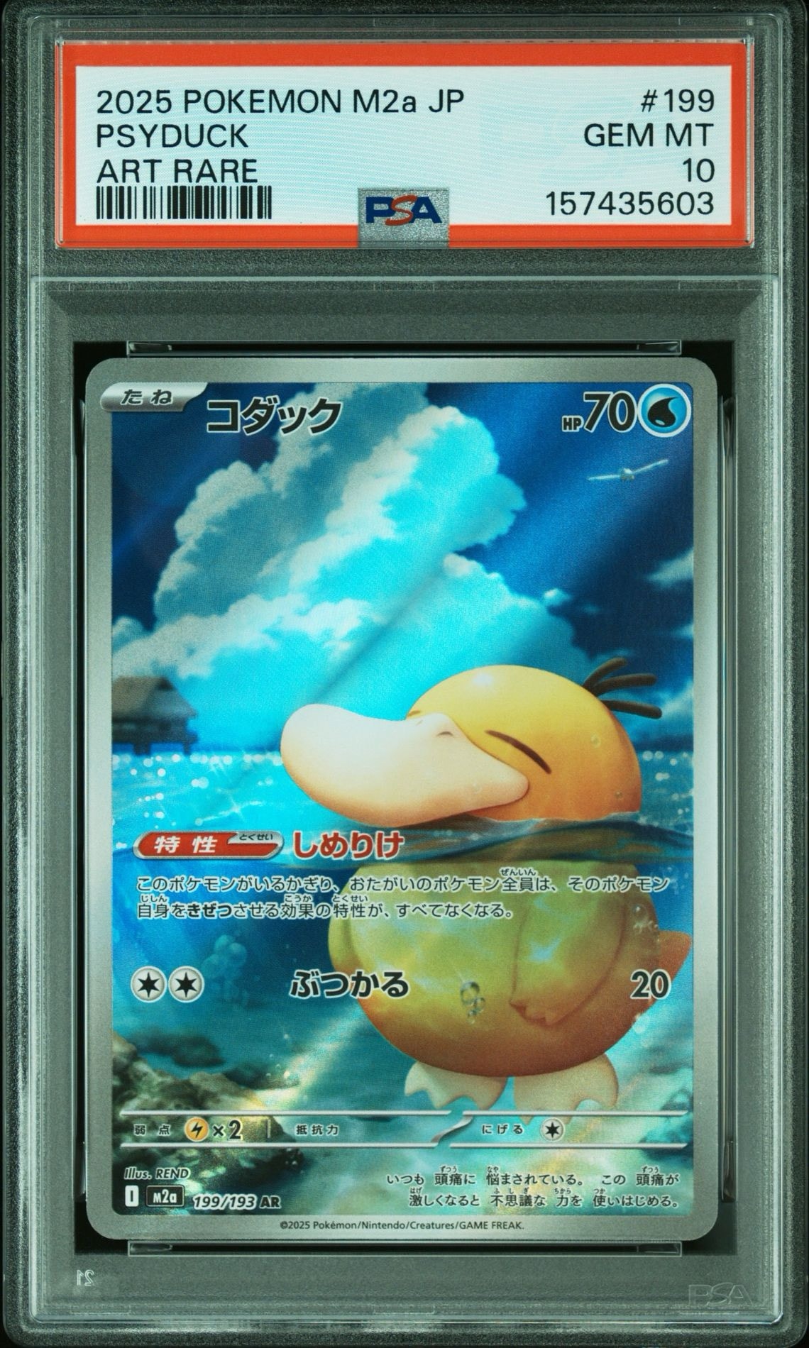 コダック AR [M2a 199/193](ハイクラスパック「MEGAドリームex」)