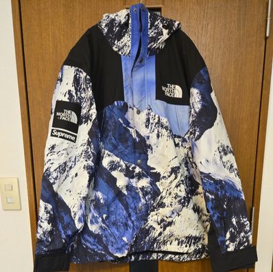 Supreme x The North Face Mountain Parka "Blue"