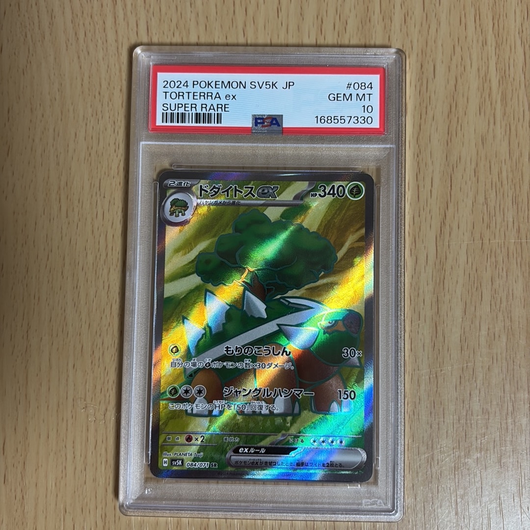 Torterra ex