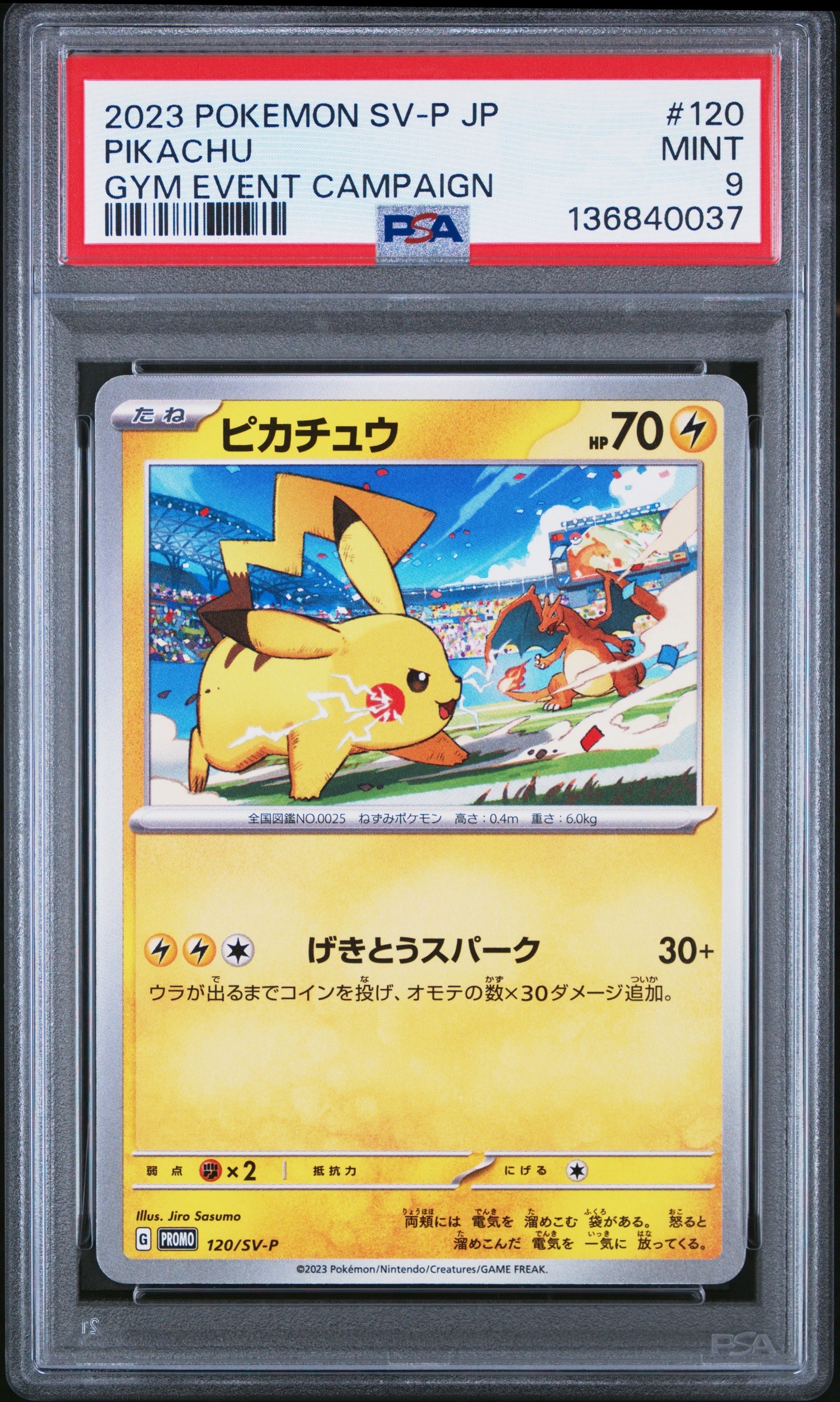 ポケカ ピカチュウ プロモ まとめ売り 43枚 120/SV-P ピカチュウ: プロモ [SV-P 120](プロモーションカード「SV-P」)の新品