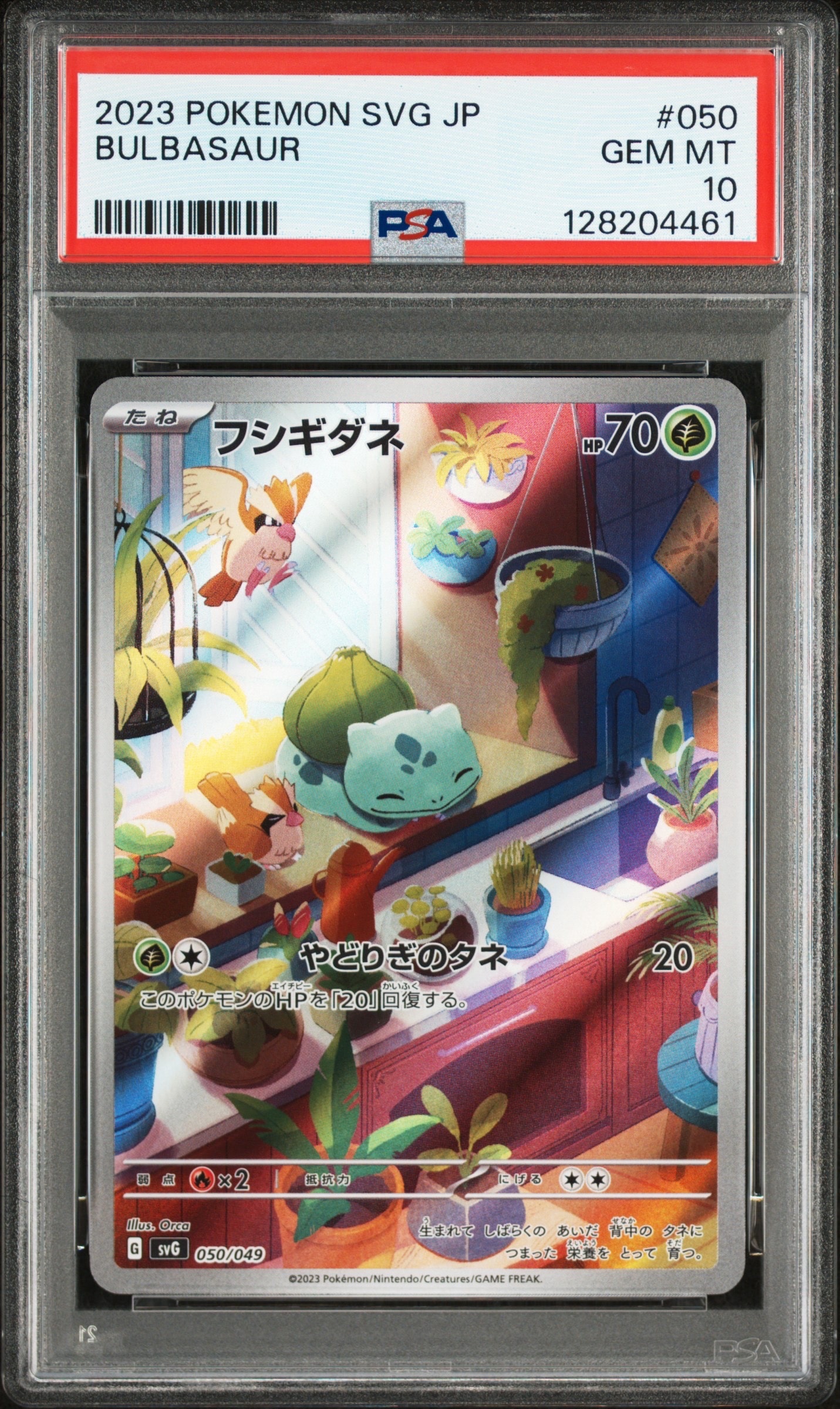 【PSA10】いたずら好きのピチュー：プロモ　214 S-P いたずら好きのピチュー【P】{214/S-P}