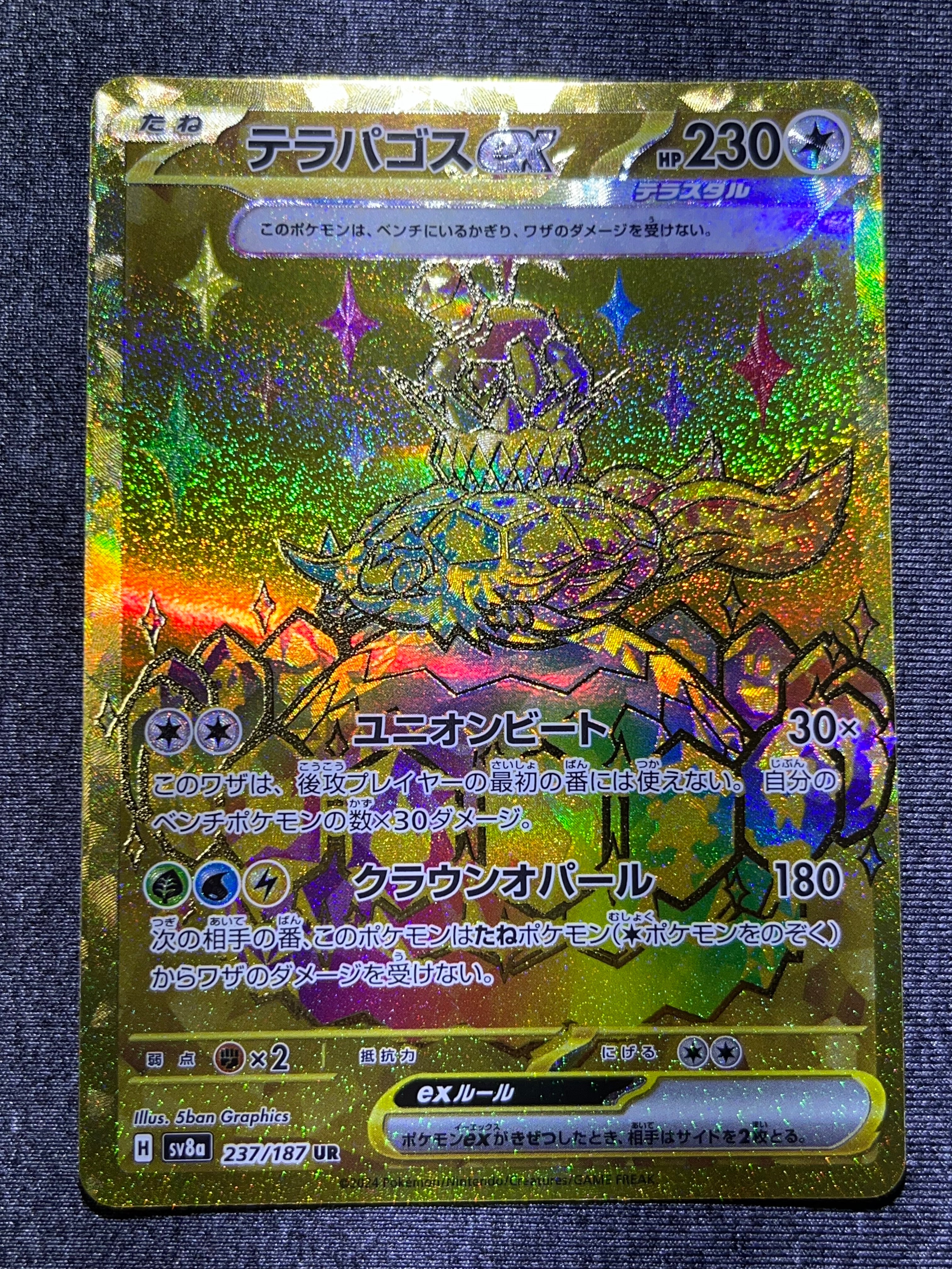 テラパゴスex UR [SV8a 237/187](ハイクラスパック「テラスタルフェス