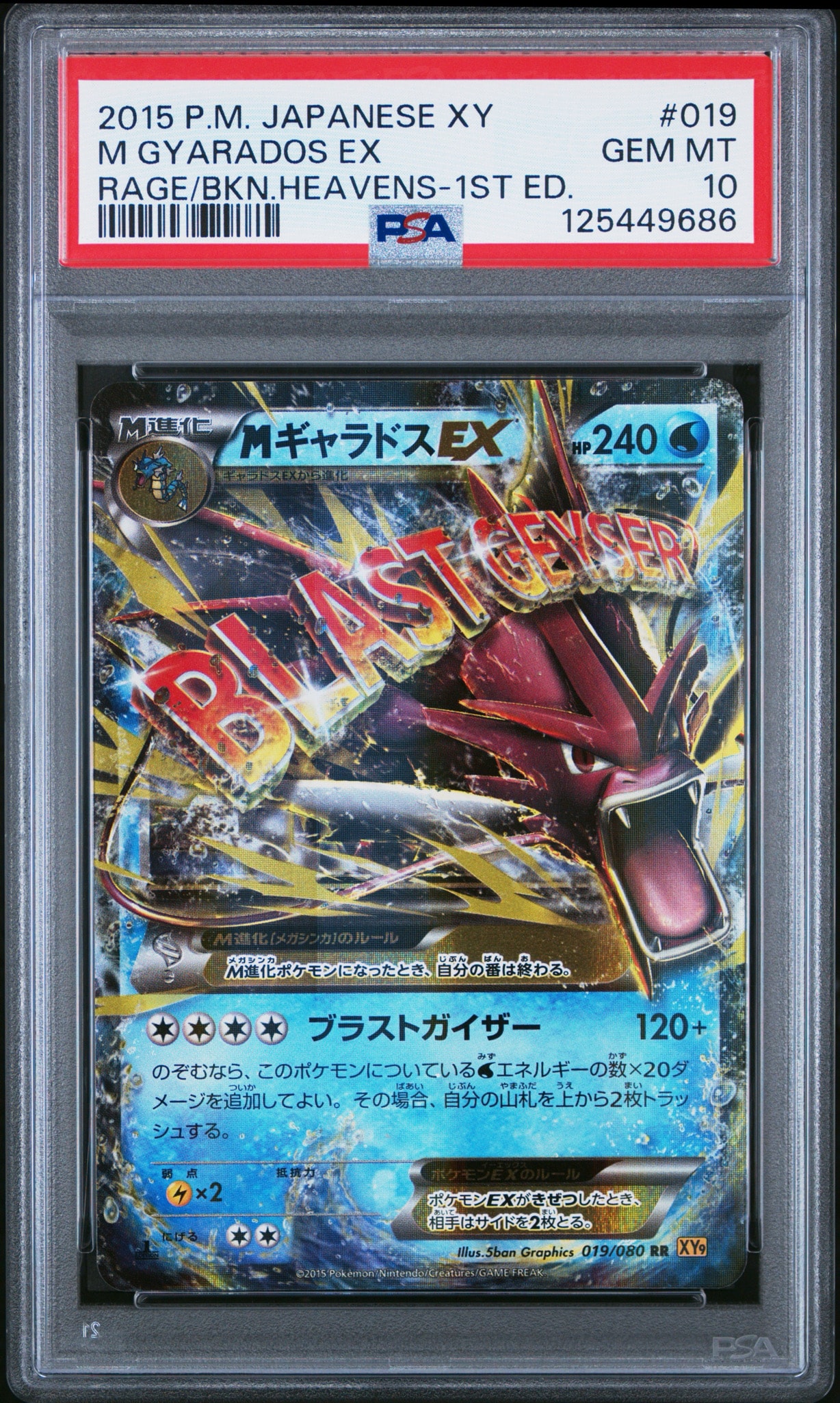 MギャラドスEX RR :1ED [XY9 019/080](拡張パック「破天の怒り」)通販