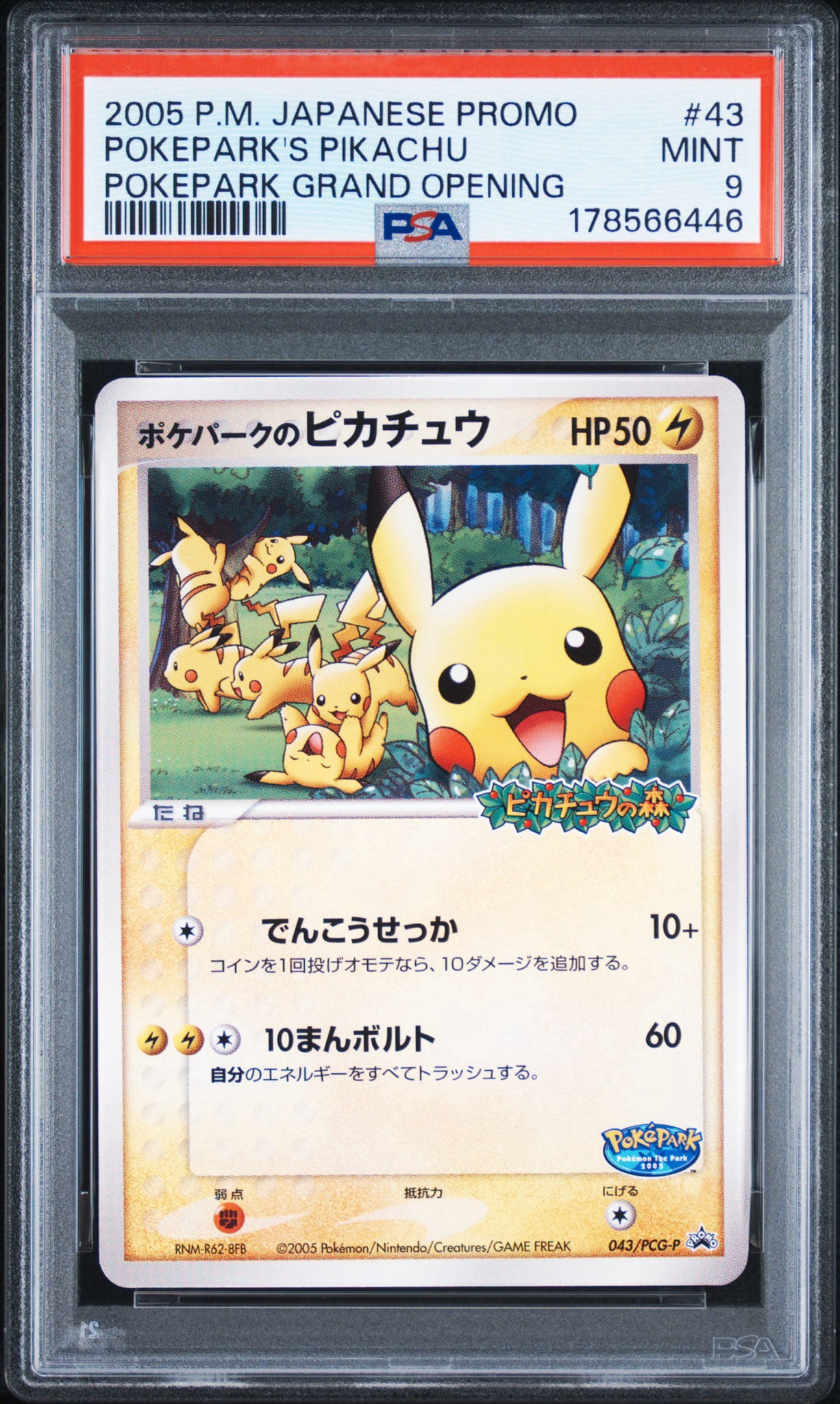 ポケパークのピカチュウ P [PCG-P 043](プロモーションカード