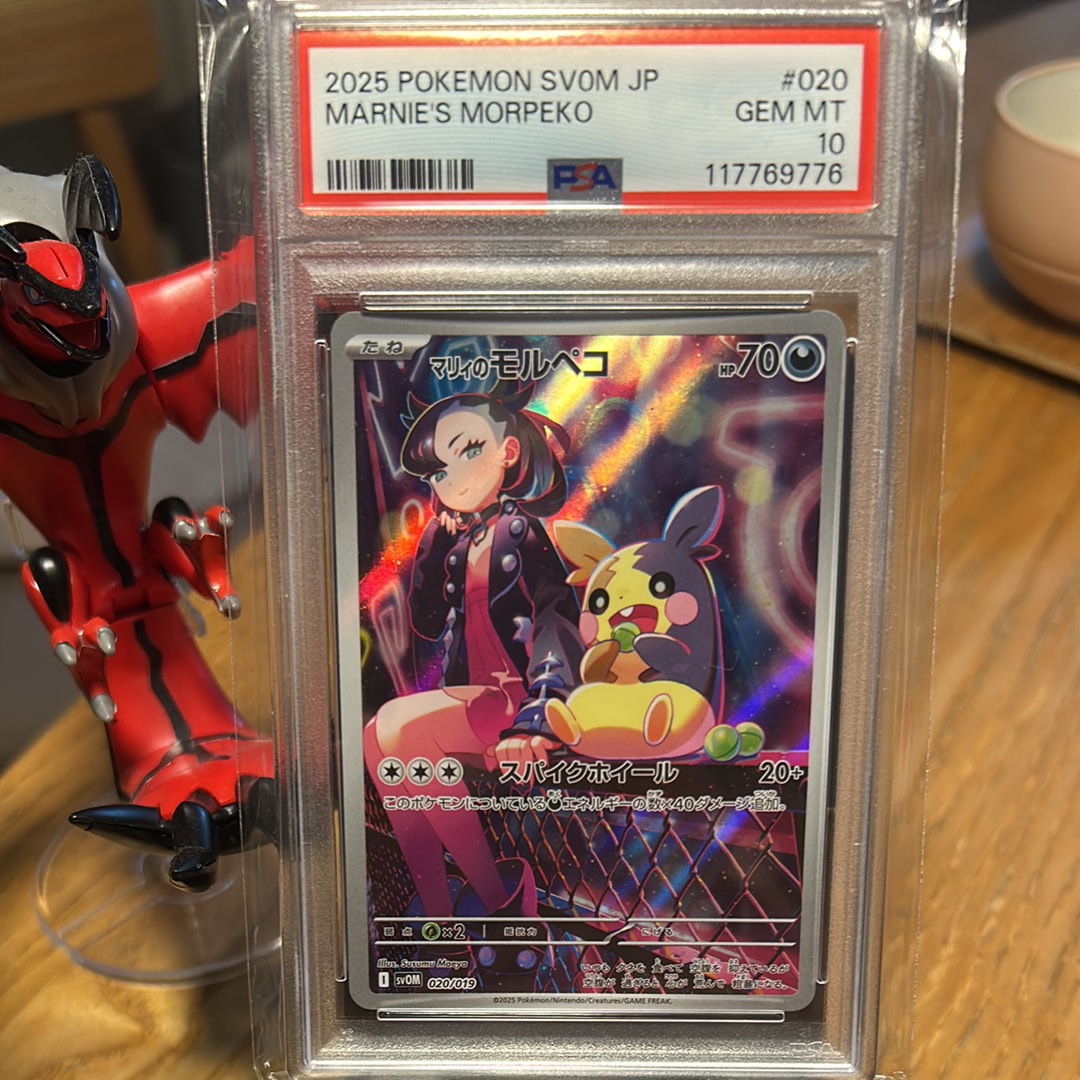 マリィのモルペコ [SVOM 020/019](スターターセットex「マリィのモルペコ＆オーロンゲex」)