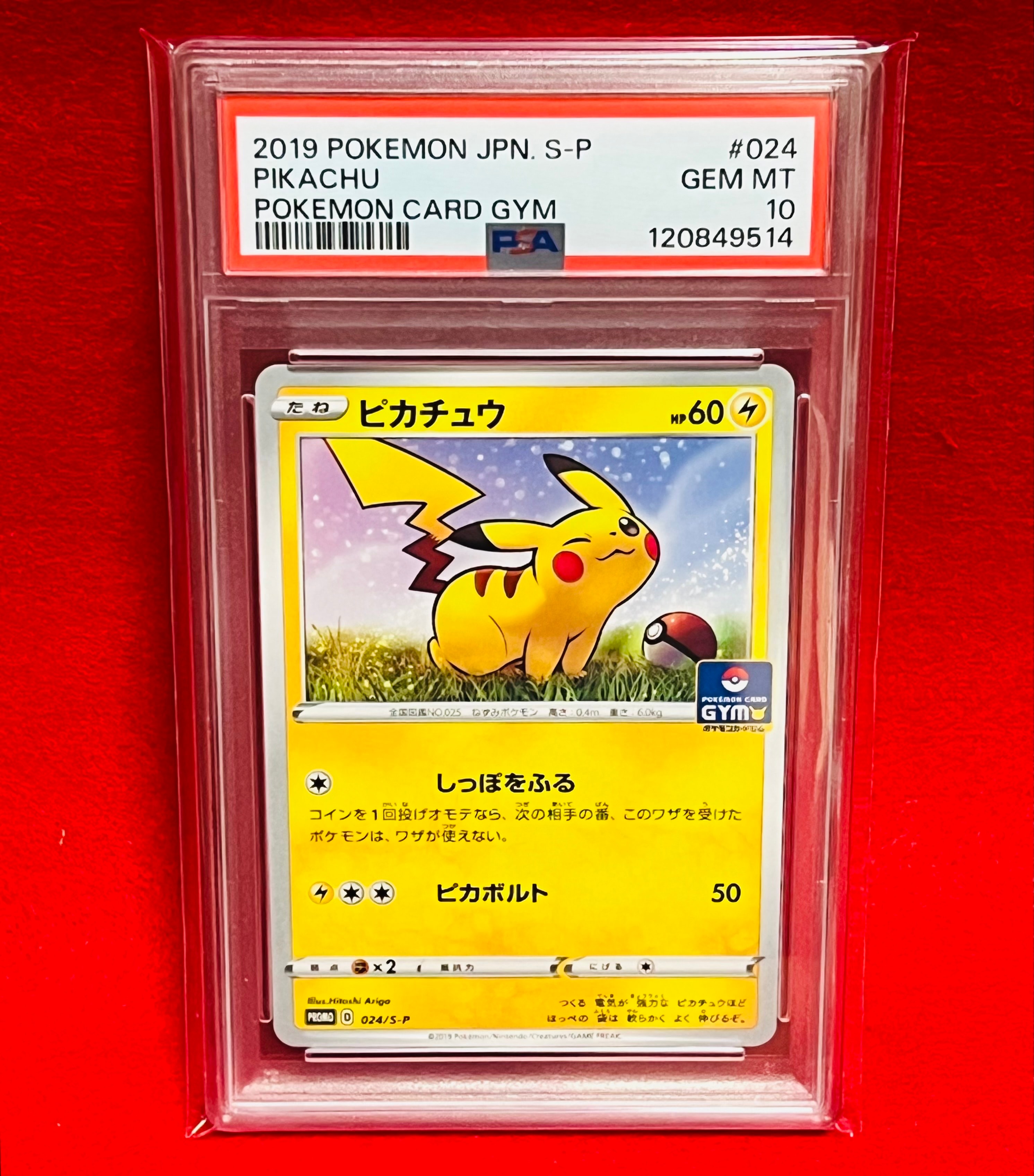 ピカチュウ: プロモ P [S-P 024](ポケモンカードゲーム ソード&シールド 「プロモカードパック 第1弾」)