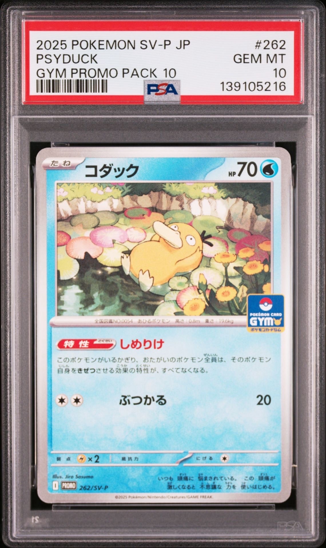 コダック P [SV-P 262](プロモカードパック「第10弾」)
