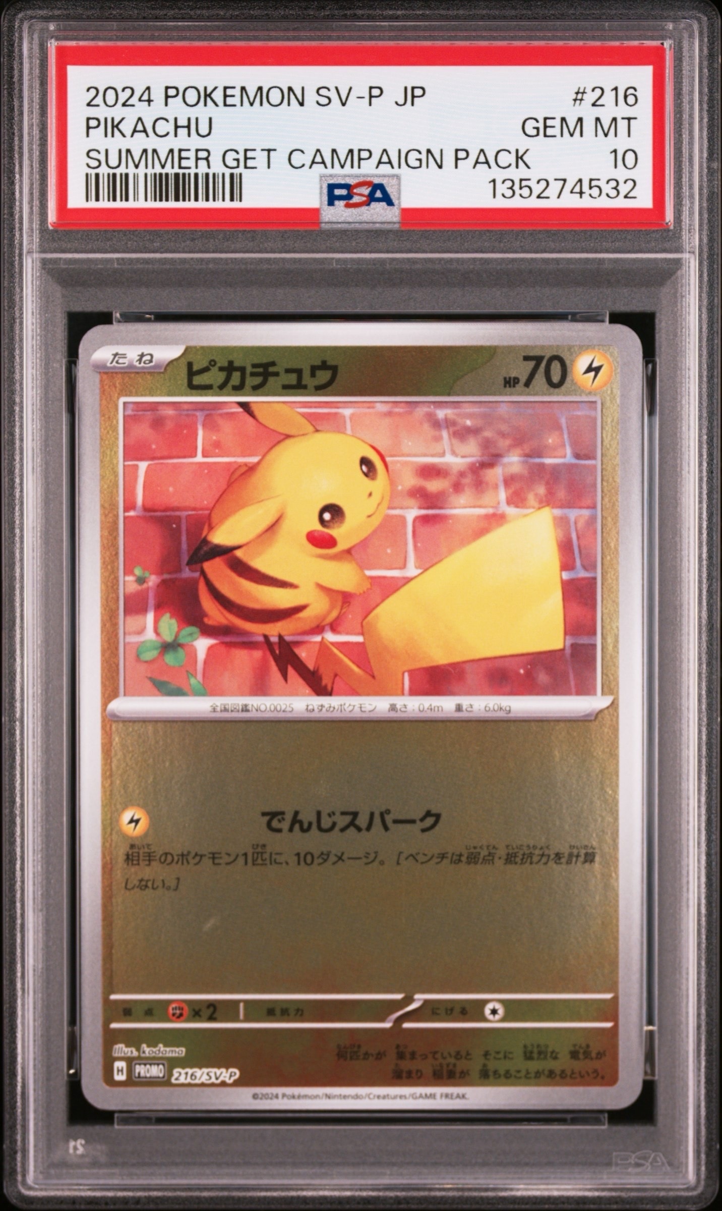 ピカチュウ P [SV-P 216](プロモカードパック「ポケカの夏がキタ!プロモカードGetキャンペーン!」)
