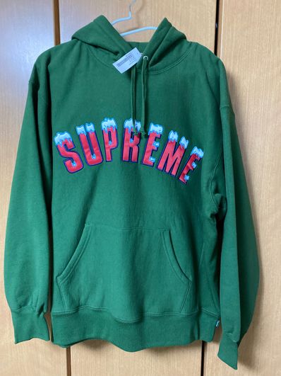 Supreme Icy Arc Hooded Sweatshirt "Green"
