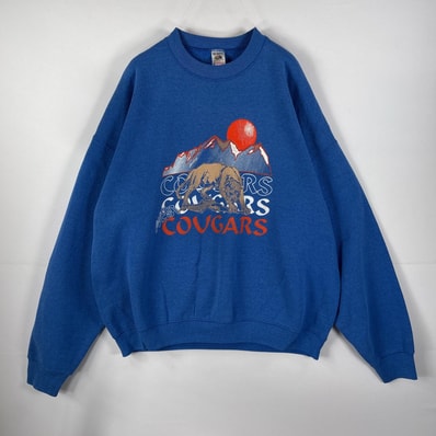 古着 80's/80年代 ヴィンテージ フルーツオブザルーム FRUIT OF THE LOOM USA製 スウェット ラバープリント 裏起毛 14041 ブルー メンズ