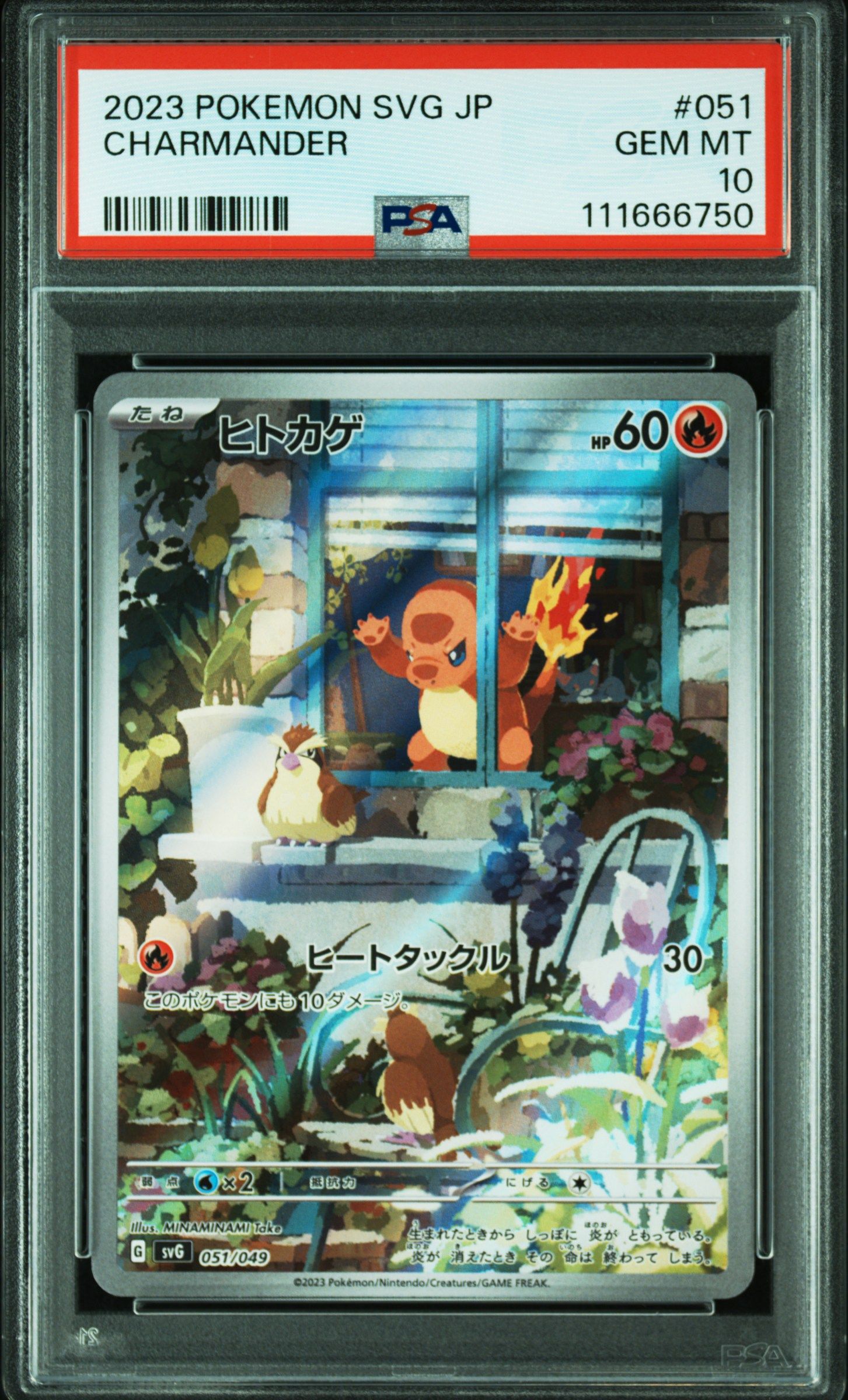 ヒトカゲ :フルイラスト [SVG 051/049](スペシャルデッキセットex「フシギバナ・リザードン・カメックス」)