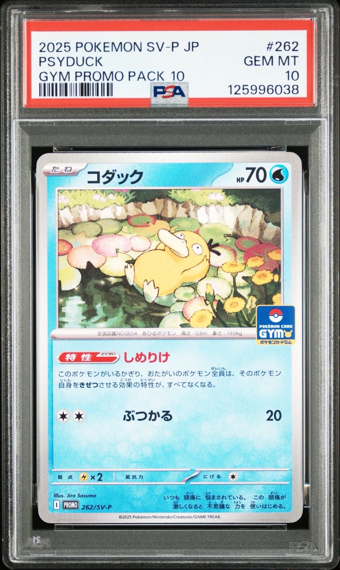 コダック P [SV-P 262](プロモカードパック「第10弾」)