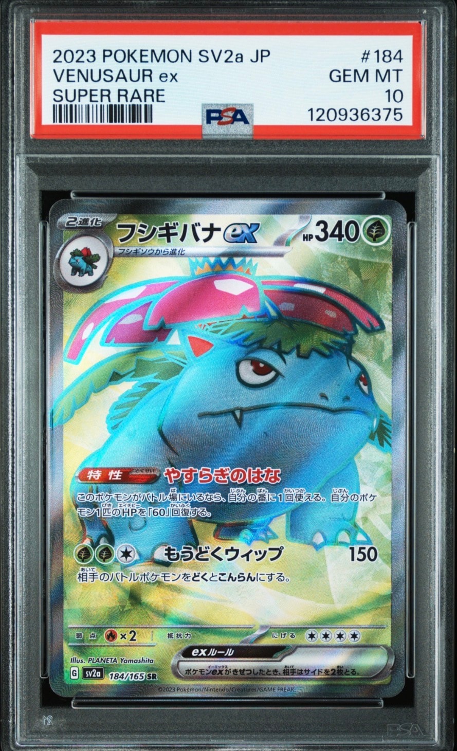 フシギバナ SR[SV2a 184/165](強化拡張パック「ポケモンカード151」)