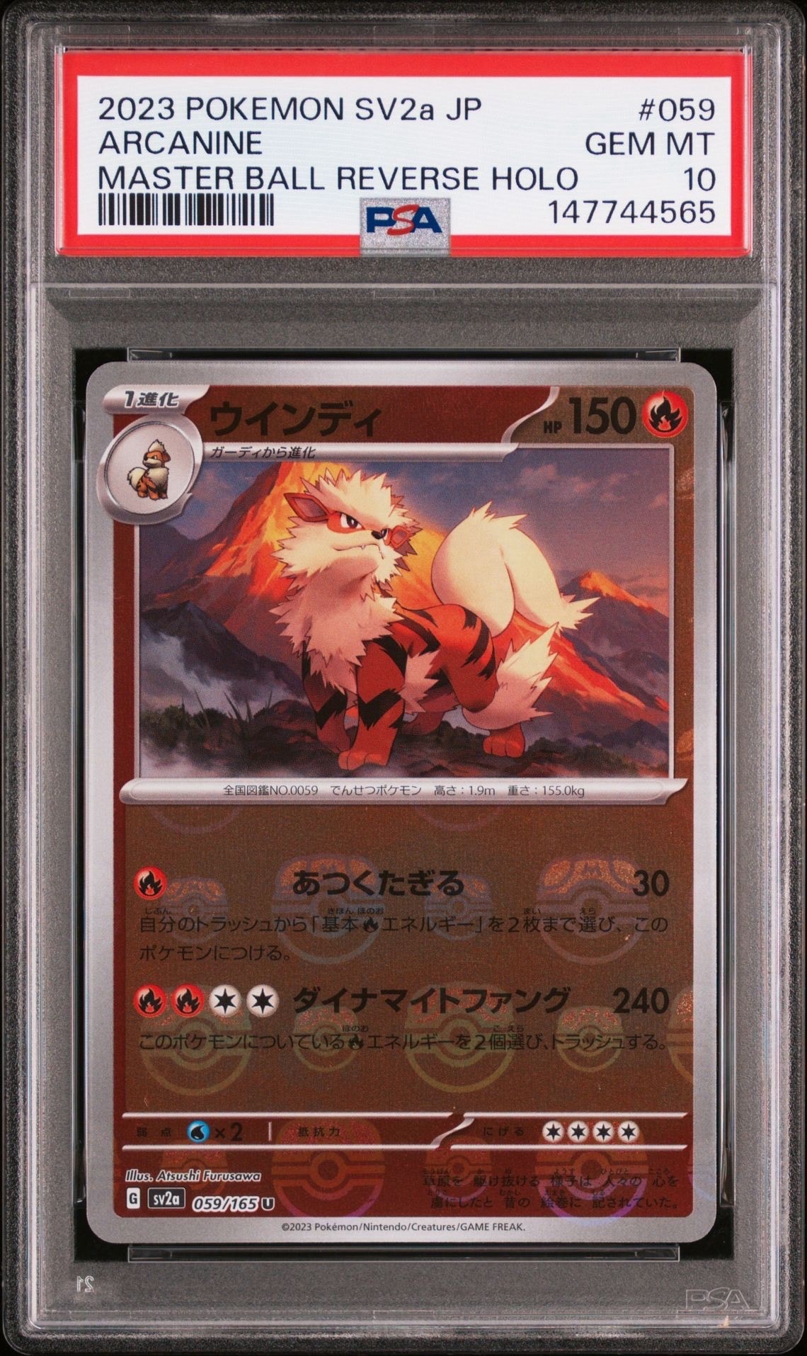 PSA8 旧裏　初版　ポケモンカード パウワウ パウワウ 初版 : 旧裏 [PMCG1-1](拡張パック「ポケットモンスター