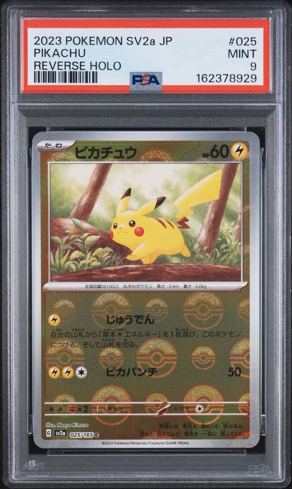 ピカチュウ C: モンスターボールミラー[SV2a 025/165](強化拡張パック「ポケモンカード151」)