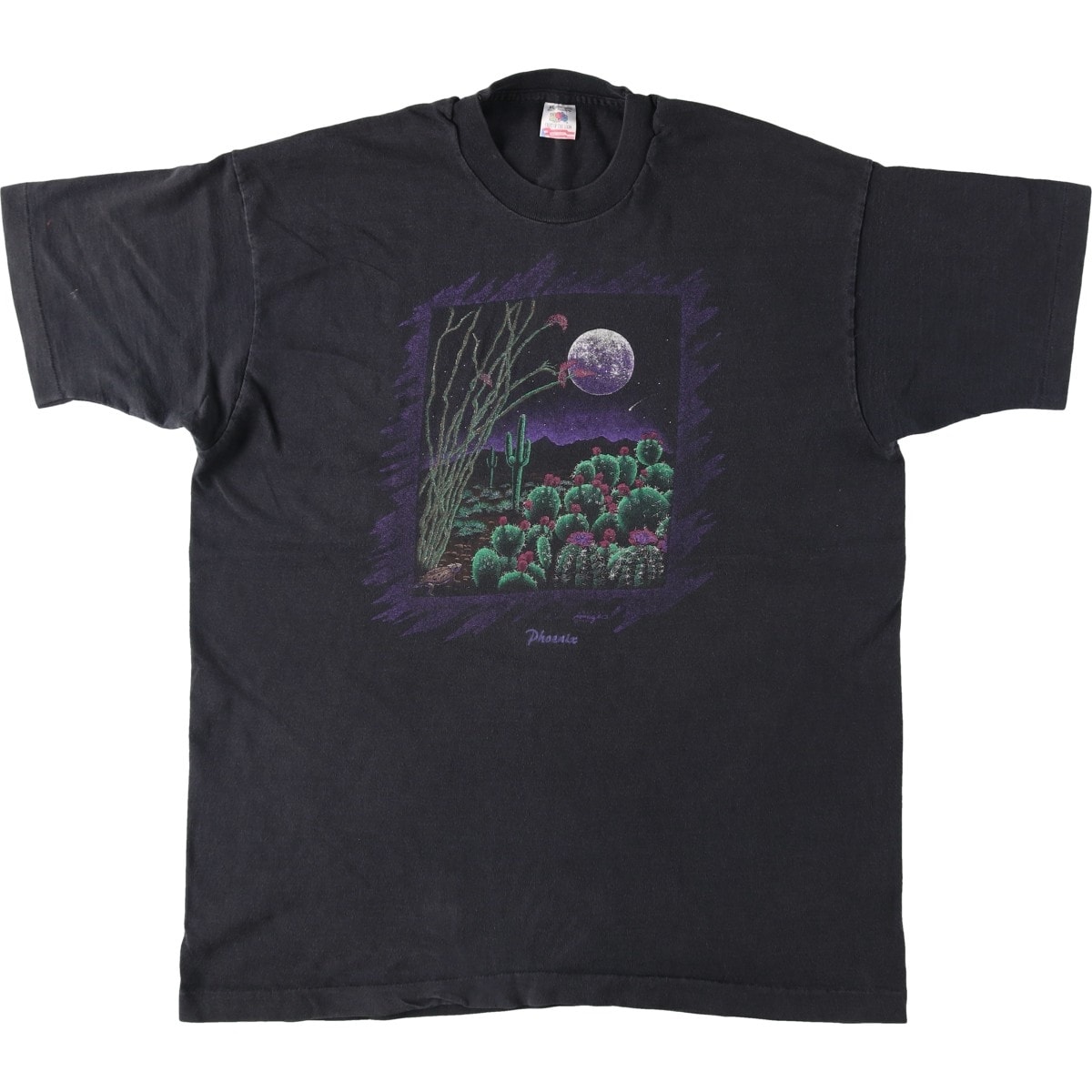 古着 90年代 フルーツオブザルーム FRUIT OF THE LOOM プリントTシャツ USA製 メンズXL相当 ヴィンテージ/eaa626781