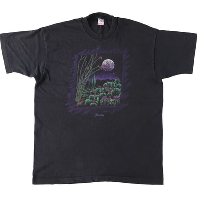 古着 90年代 フルーツオブザルーム FRUIT OF THE LOOM プリントTシャツ USA製 メンズXL相当 ヴィンテージ/eaa626781