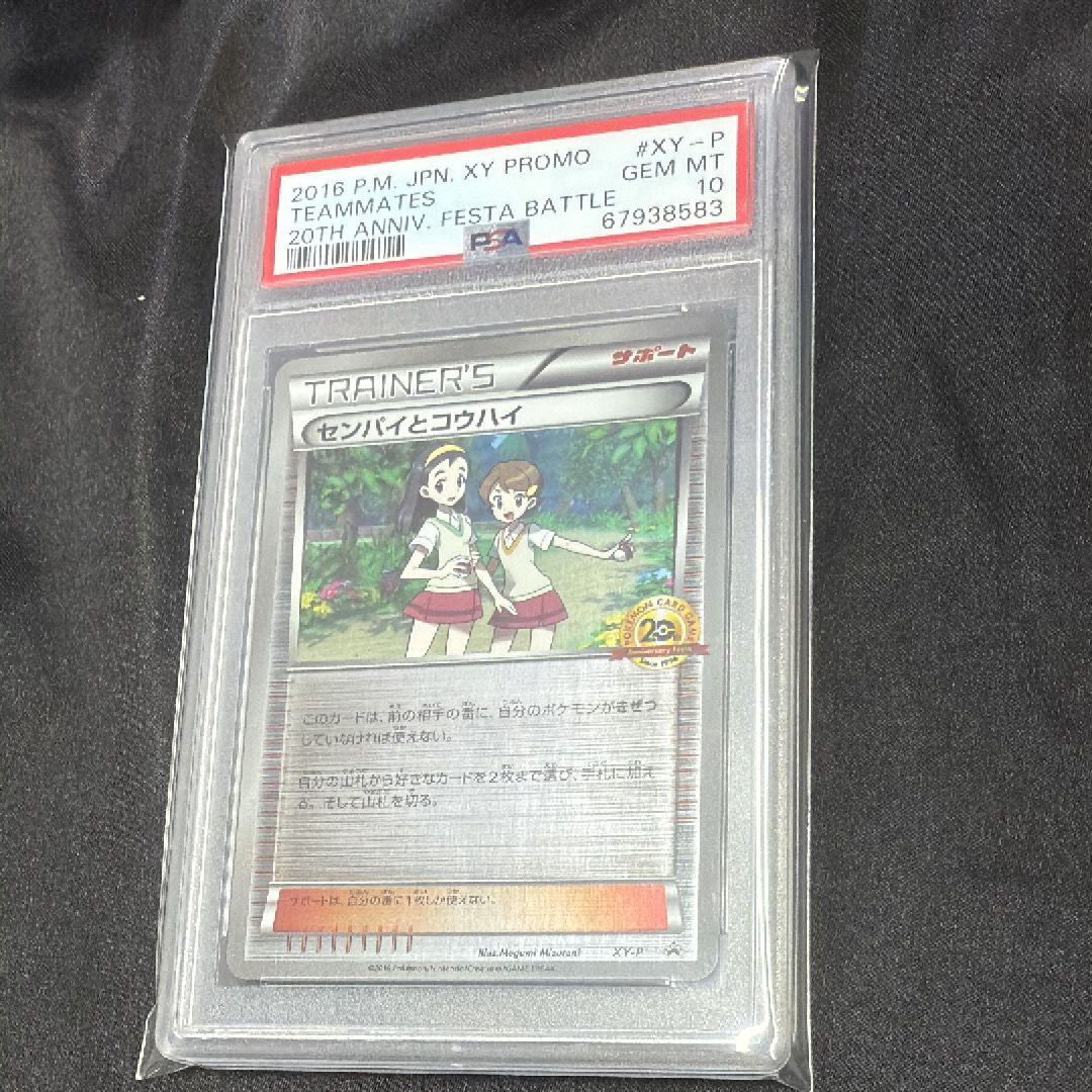 PSA10】センパイとコウハイ: プロモ[XY-P](プロモーションカード「XY-P