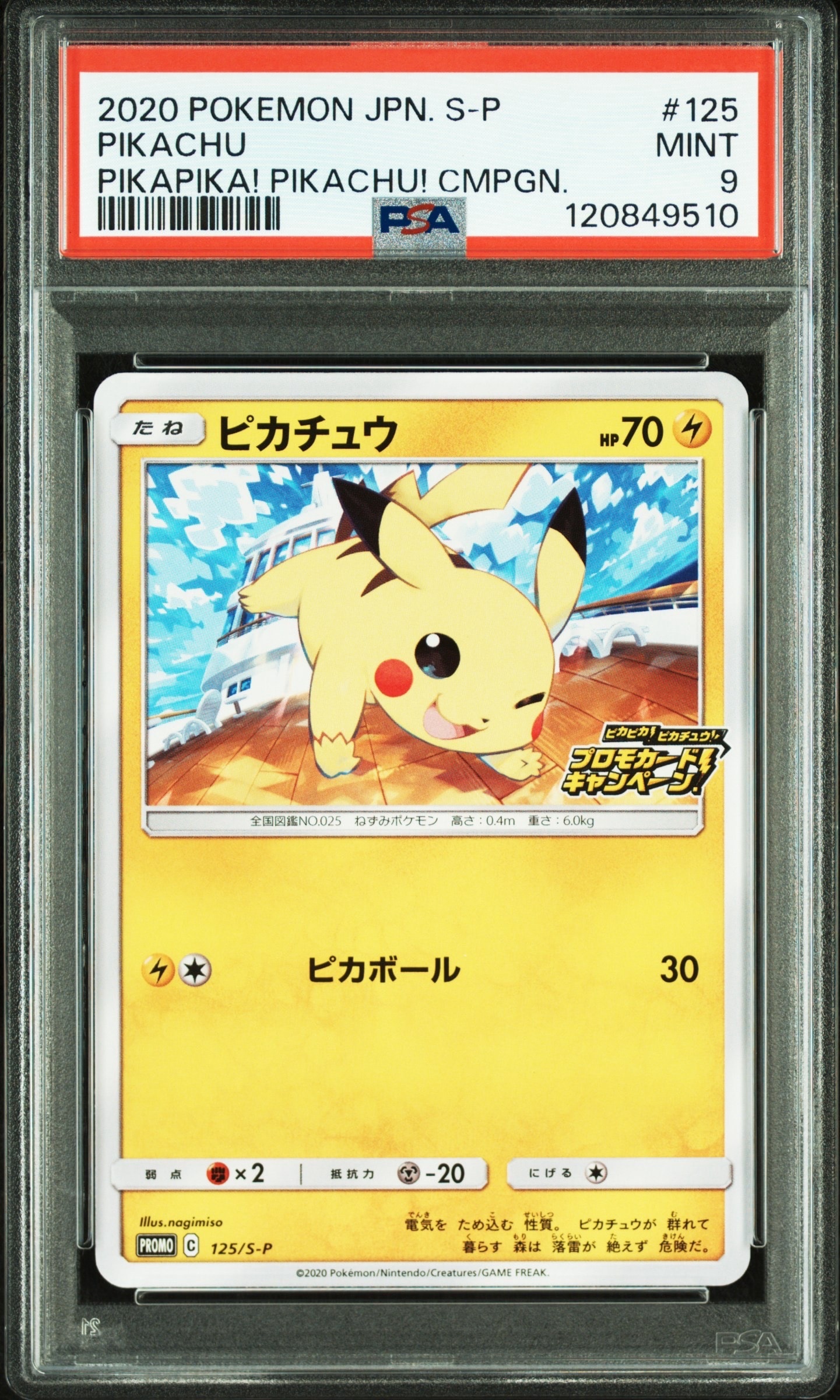 ピカチュウ: プロモ P [S-P 125](ピカピカ!ピカチュウ!プロモカードキャンペーン)